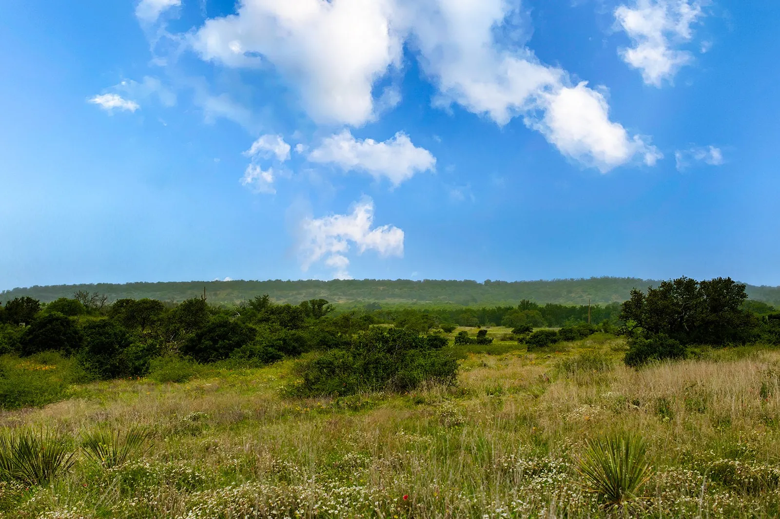 Ranch For Sale in Brown County , 9701 County Road 201, Brownwood, Texas 76801, 0, 0, Garage spaces, 0 Sqft, built in 0, mls#21306365, Real Estate Agent in Brownwood, Homes For Sale in Brown county, Homes For Sale in Brownwood, Realtor in Brownwood Texas, Real Estate Brokerage Independent Realty Texas, Luminita Cordes Realtor