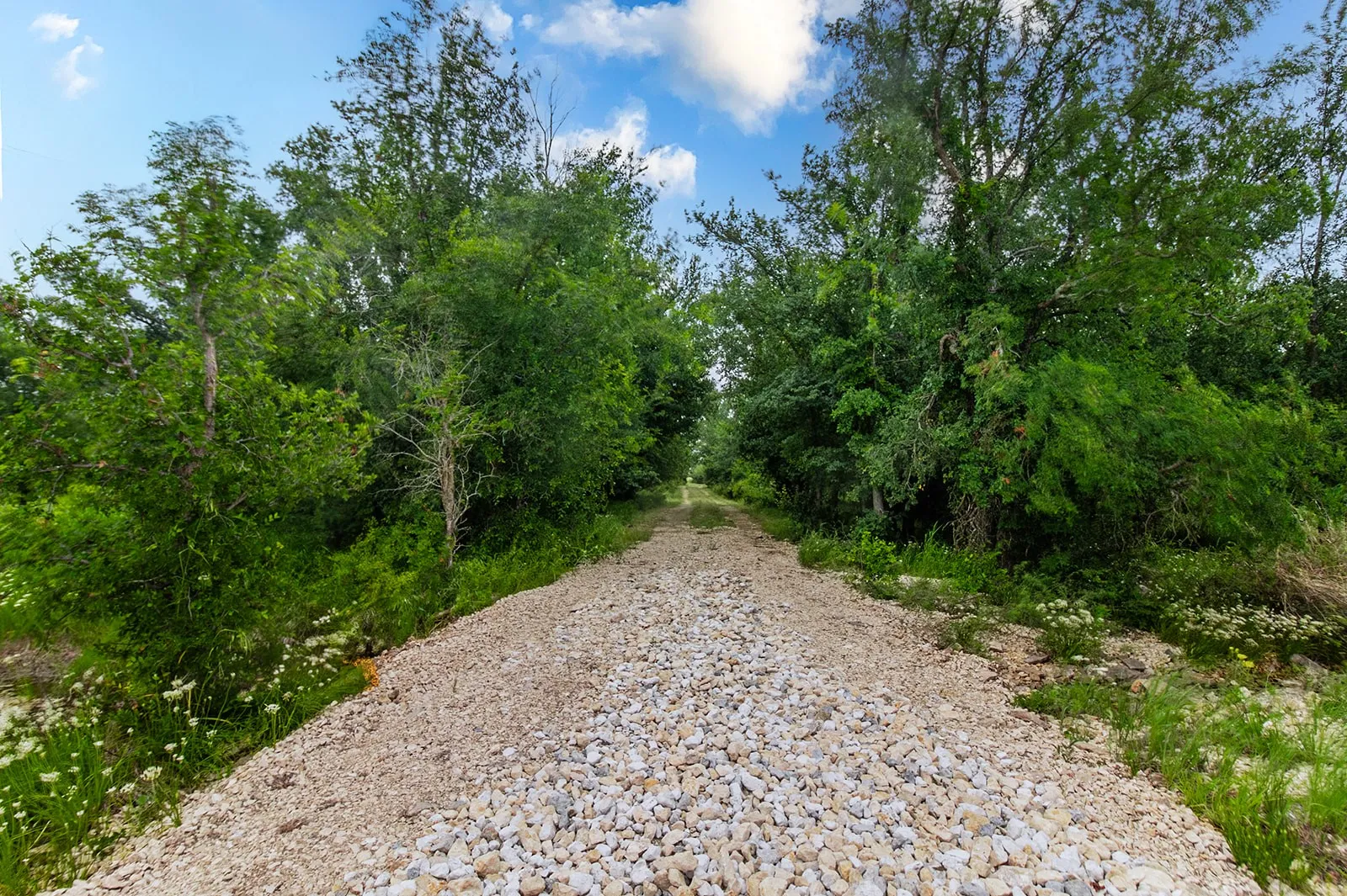 Ranch For Sale in Brown County , 9701 County Road 201, Brownwood, Texas 76801, 0, 0, Garage spaces, 0 Sqft, built in 0, mls#21306365, Real Estate Agent in Brownwood, Homes For Sale in Brown county, Homes For Sale in Brownwood, Realtor in Brownwood Texas, Real Estate Brokerage Independent Realty Texas, Luminita Cordes Realtor