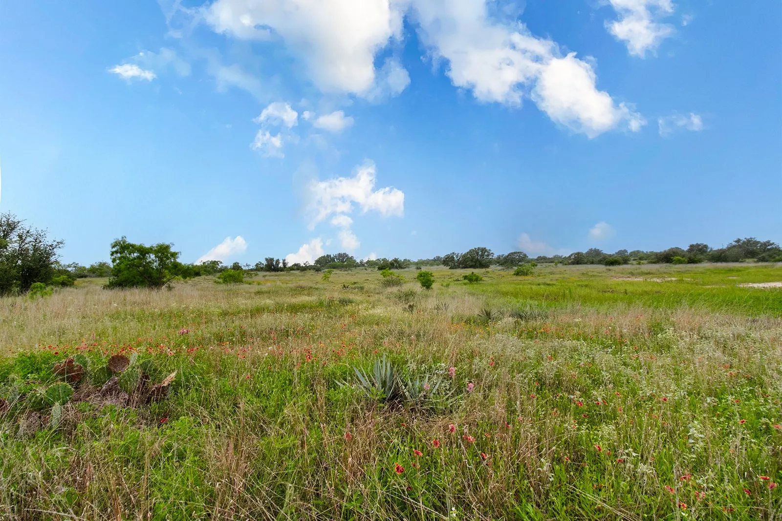 Ranch For Sale in Brown County , 9701 County Road 201, Brownwood, Texas 76801, 0, 0, Garage spaces, 0 Sqft, built in 0, mls#21306365, Real Estate Agent in Brownwood, Homes For Sale in Brown county, Homes For Sale in Brownwood, Realtor in Brownwood Texas, Real Estate Brokerage Independent Realty Texas, Luminita Cordes Realtor