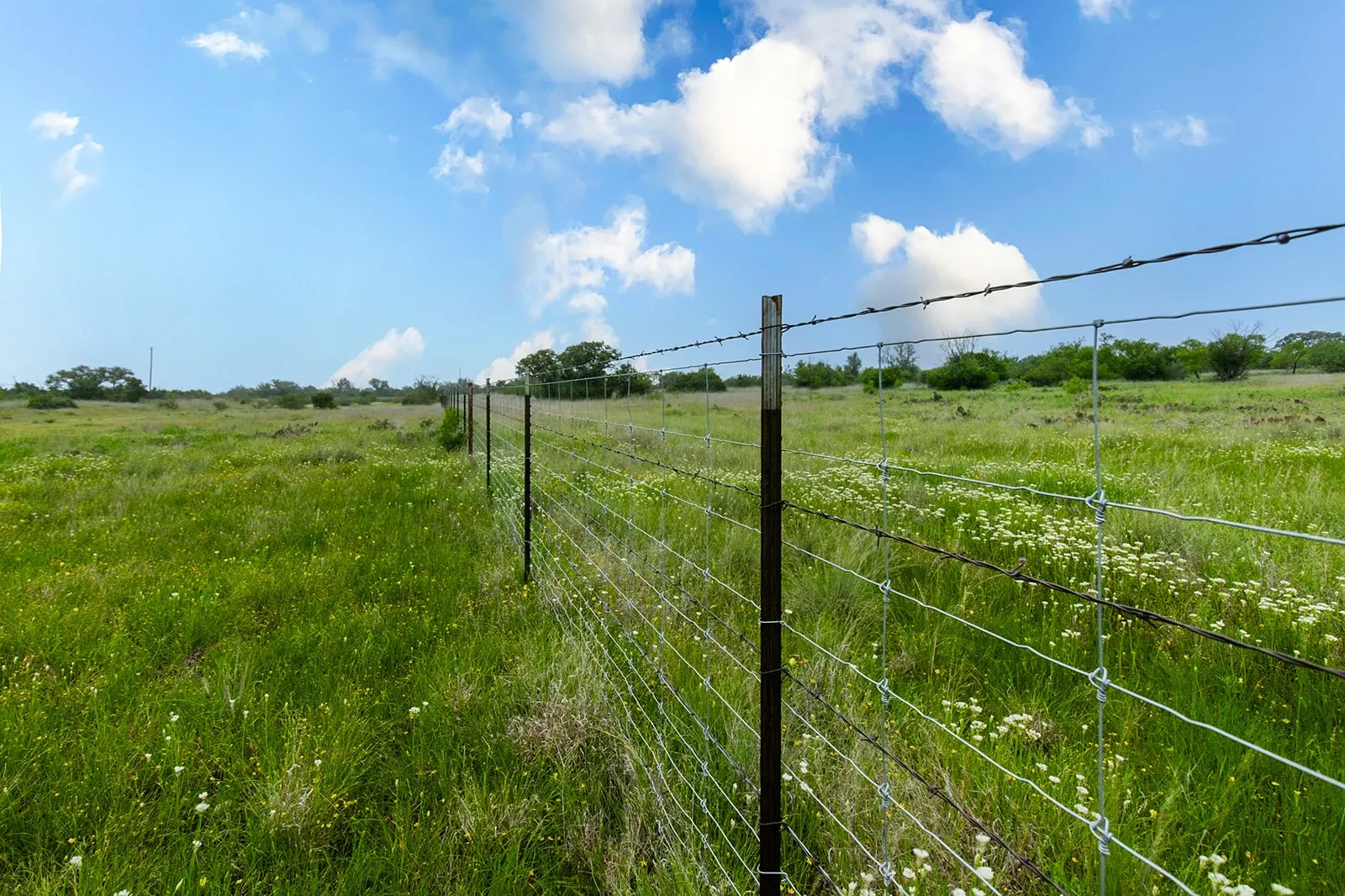Ranch For Sale in Brown County , 9701 County Road 201, Brownwood, Texas 76801, 0, 0, Garage spaces, 0 Sqft, built in 0, mls#21306365, Real Estate Agent in Brownwood, Homes For Sale in Brown county, Homes For Sale in Brownwood, Realtor in Brownwood Texas, Real Estate Brokerage Independent Realty Texas, Luminita Cordes Realtor