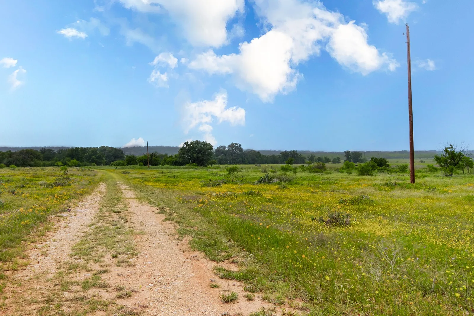 Ranch For Sale in Brown County , 9701 County Road 201, Brownwood, Texas 76801, 0, 0, Garage spaces, 0 Sqft, built in 0, mls#21306365, Real Estate Agent in Brownwood, Homes For Sale in Brown county, Homes For Sale in Brownwood, Realtor in Brownwood Texas, Real Estate Brokerage Independent Realty Texas, Luminita Cordes Realtor