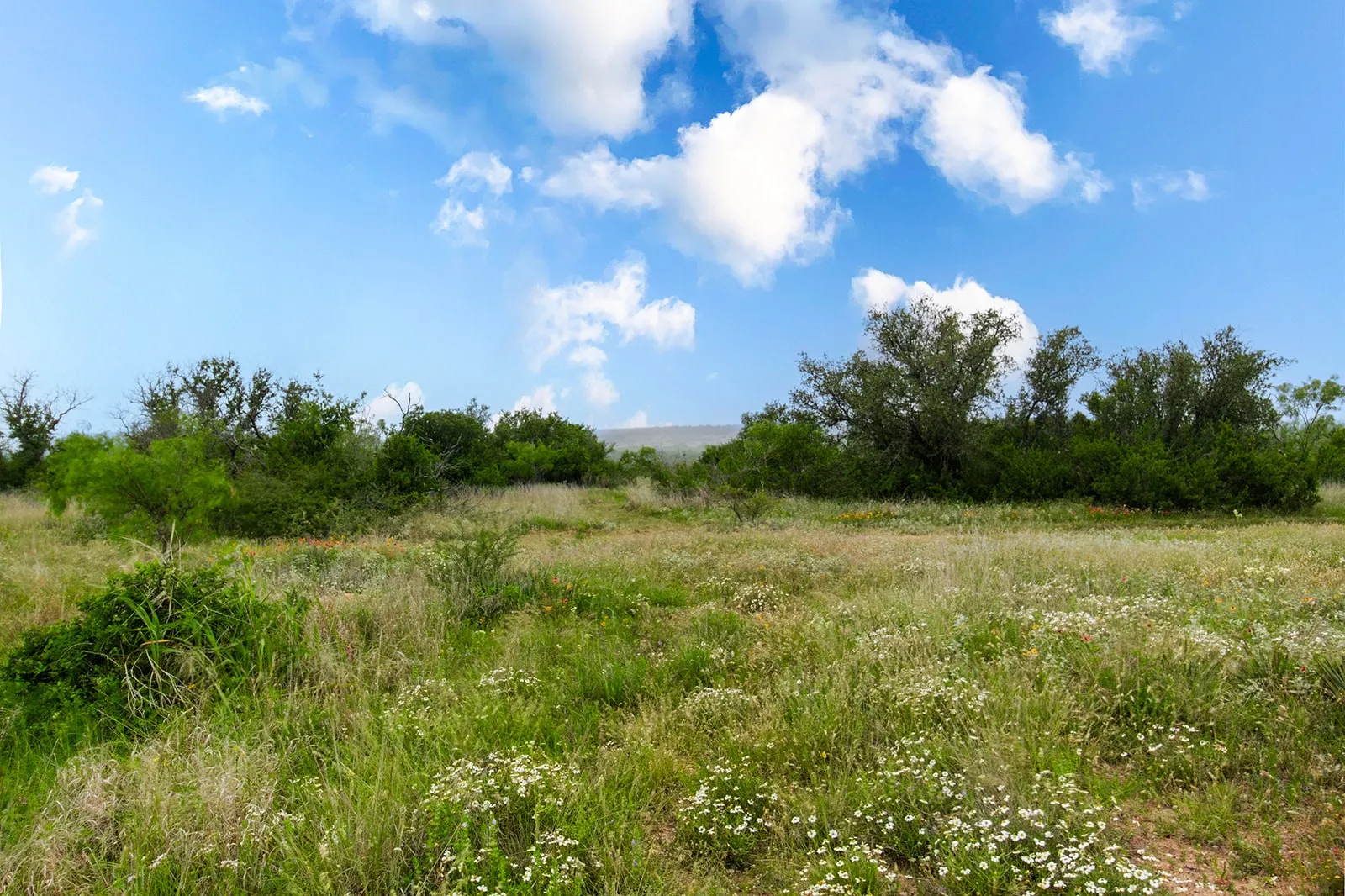 Ranch For Sale in Brown County , 9701 County Road 201, Brownwood, Texas 76801, 0, 0, Garage spaces, 0 Sqft, built in 0, mls#21306365, Real Estate Agent in Brownwood, Homes For Sale in Brown county, Homes For Sale in Brownwood, Realtor in Brownwood Texas, Real Estate Brokerage Independent Realty Texas, Luminita Cordes Realtor