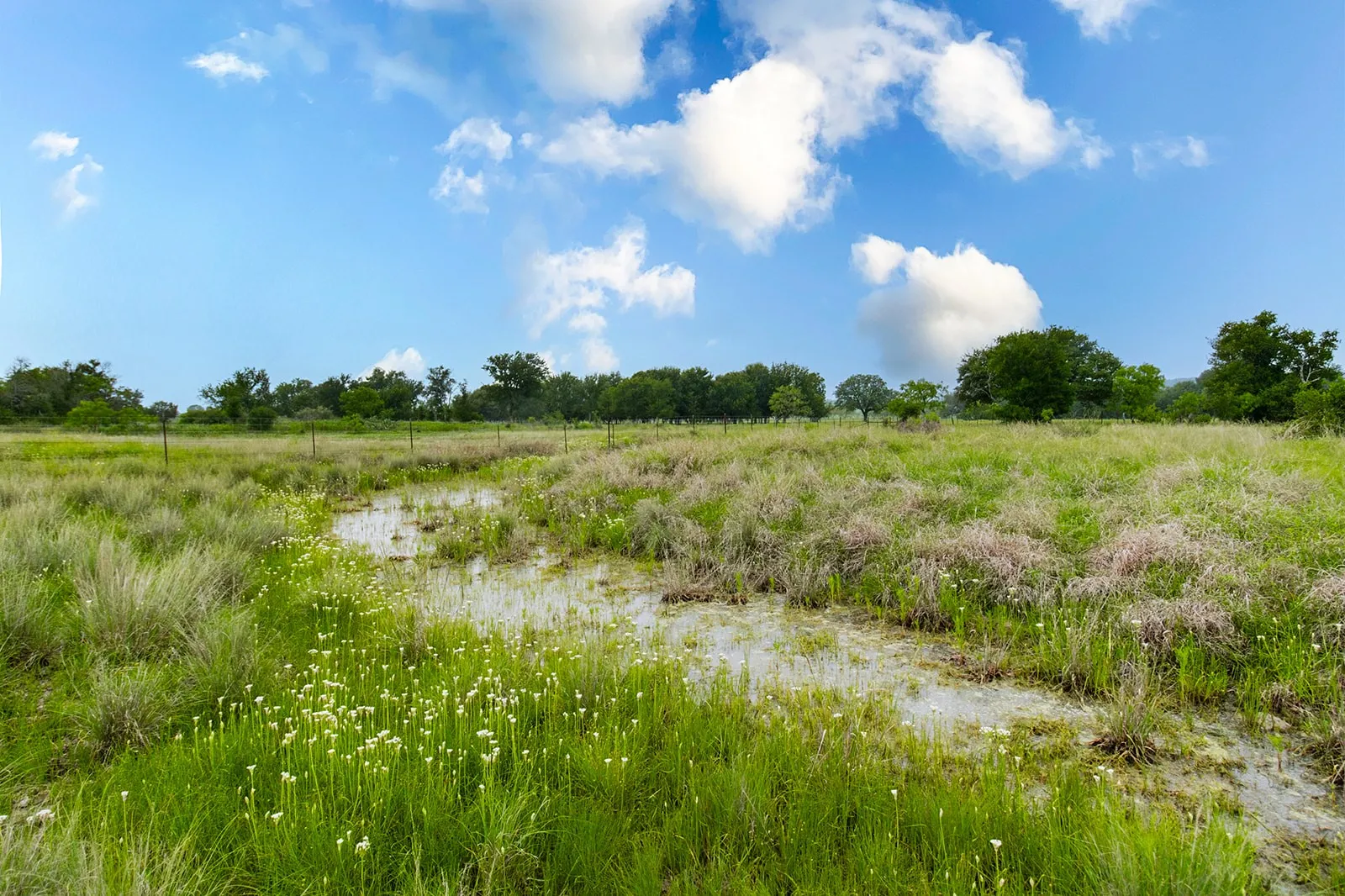 Ranch For Sale in Brown County , 9701 County Road 201, Brownwood, Texas 76801, 0, 0, Garage spaces, 0 Sqft, built in 0, mls#21306365, Real Estate Agent in Brownwood, Homes For Sale in Brown county, Homes For Sale in Brownwood, Realtor in Brownwood Texas, Real Estate Brokerage Independent Realty Texas, Luminita Cordes Realtor