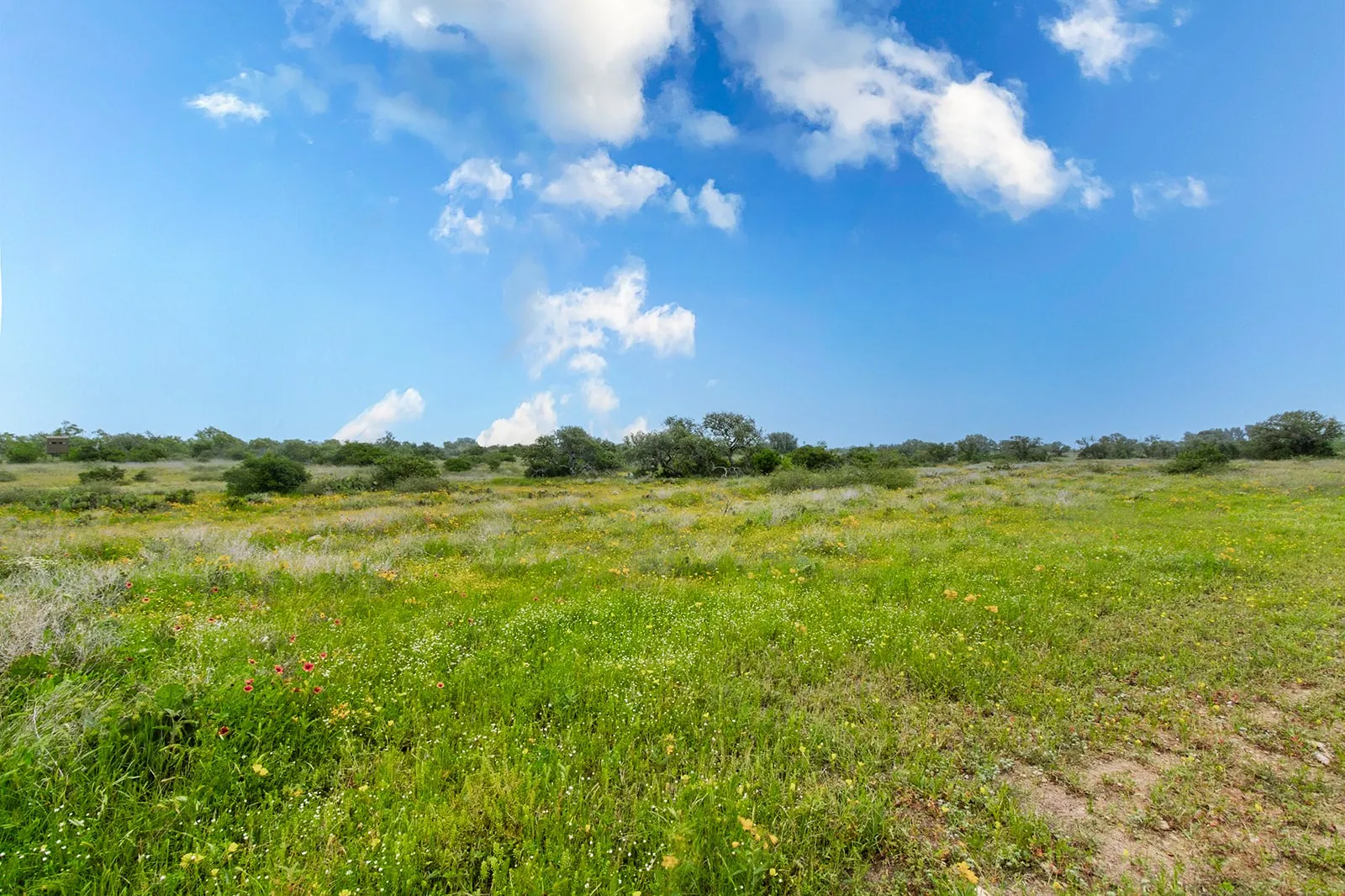 Ranch For Sale in Brown County , 9701 County Road 201, Brownwood, Texas 76801, 0, 0, Garage spaces, 0 Sqft, built in 0, mls#21306365, Real Estate Agent in Brownwood, Homes For Sale in Brown county, Homes For Sale in Brownwood, Realtor in Brownwood Texas, Real Estate Brokerage Independent Realty Texas, Luminita Cordes Realtor