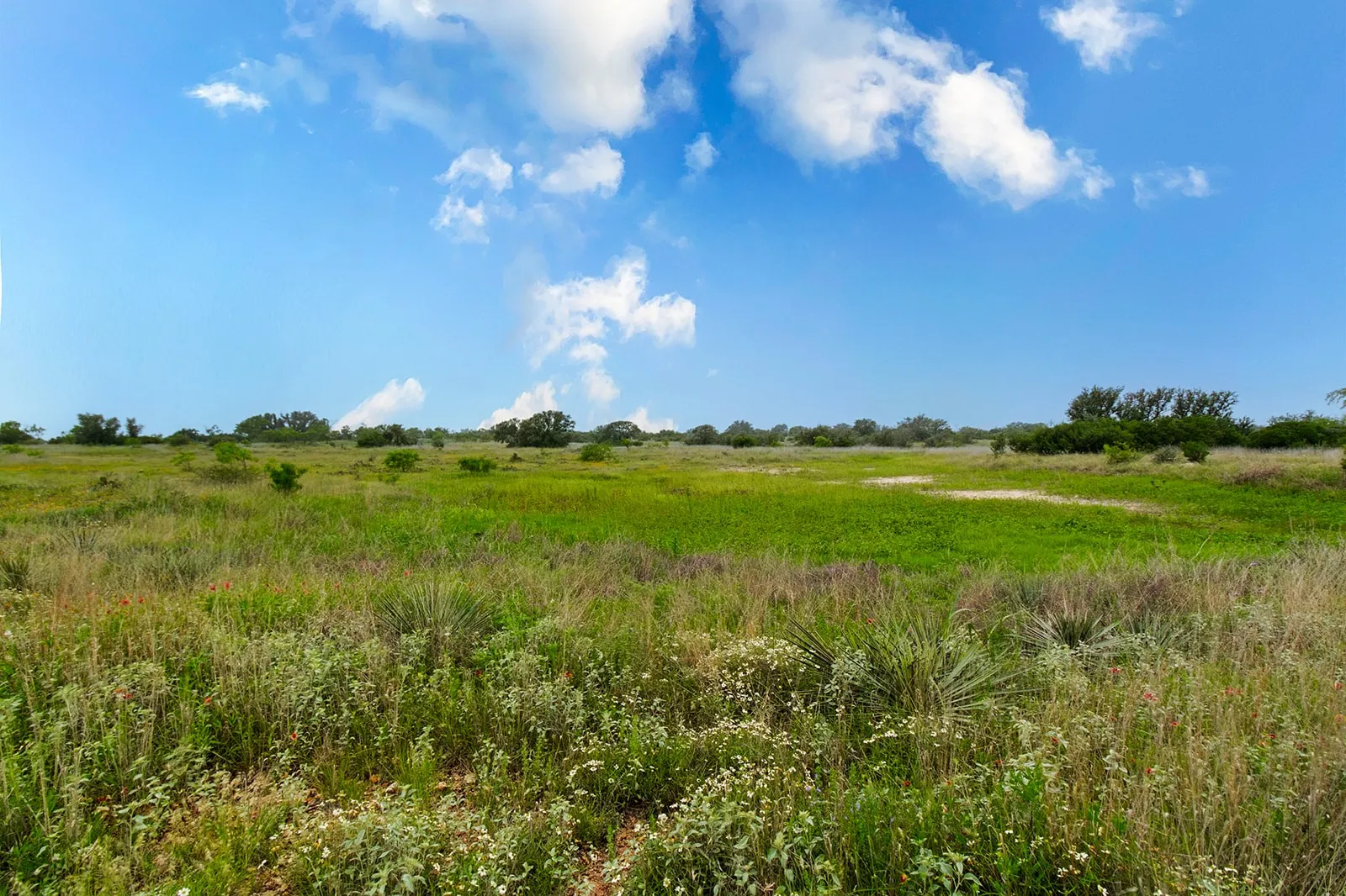 Ranch For Sale in Brown County , 9701 County Road 201, Brownwood, Texas 76801, 0, 0, Garage spaces, 0 Sqft, built in 0, mls#21306365, Real Estate Agent in Brownwood, Homes For Sale in Brown county, Homes For Sale in Brownwood, Realtor in Brownwood Texas, Real Estate Brokerage Independent Realty Texas, Luminita Cordes Realtor