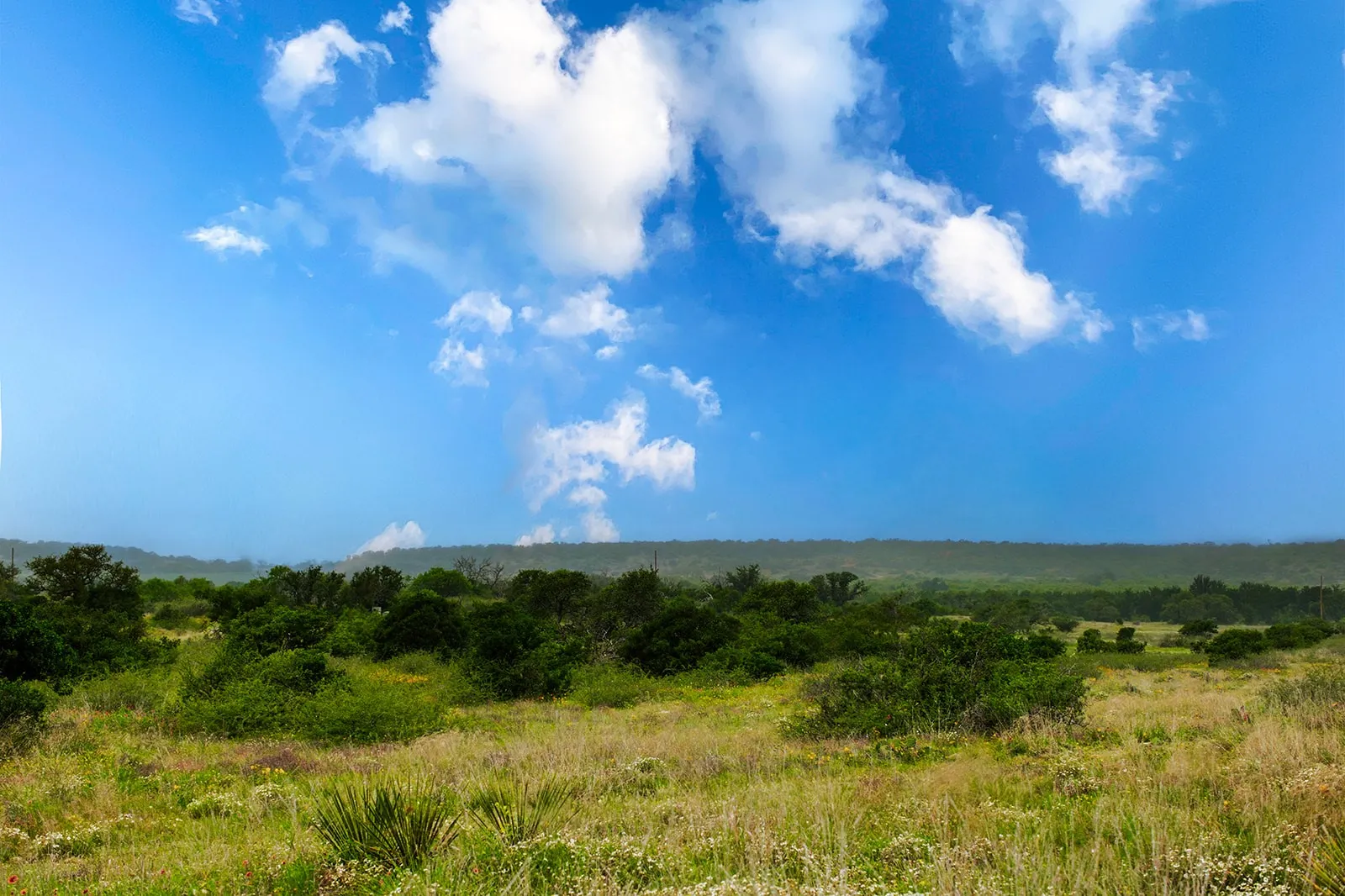 Ranch For Sale in Brown County , 9701 County Road 201, Brownwood, Texas 76801, 0, 0, Garage spaces, 0 Sqft, built in 0, mls#21306365, Real Estate Agent in Brownwood, Homes For Sale in Brown county, Homes For Sale in Brownwood, Realtor in Brownwood Texas, Real Estate Brokerage Independent Realty Texas, Luminita Cordes Realtor