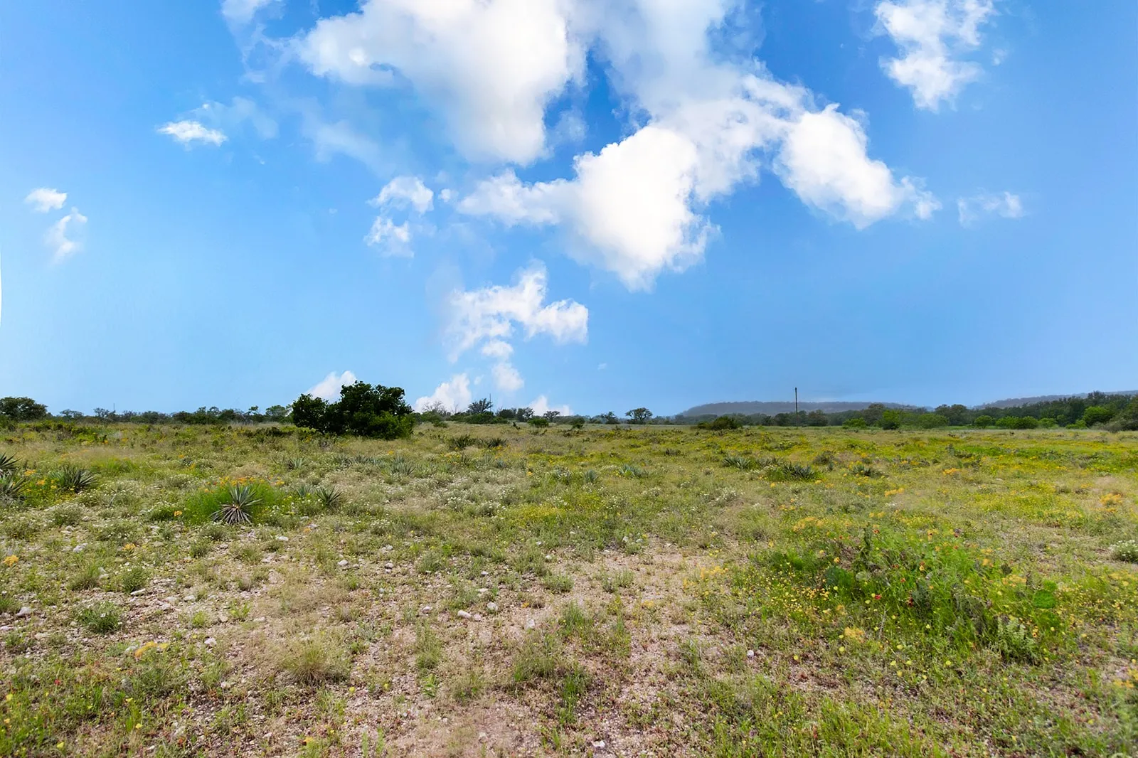 Ranch For Sale in Brown County , 9701 County Road 201, Brownwood, Texas 76801, 0, 0, Garage spaces, 0 Sqft, built in 0, mls#21306365, Real Estate Agent in Brownwood, Homes For Sale in Brown county, Homes For Sale in Brownwood, Realtor in Brownwood Texas, Real Estate Brokerage Independent Realty Texas, Luminita Cordes Realtor