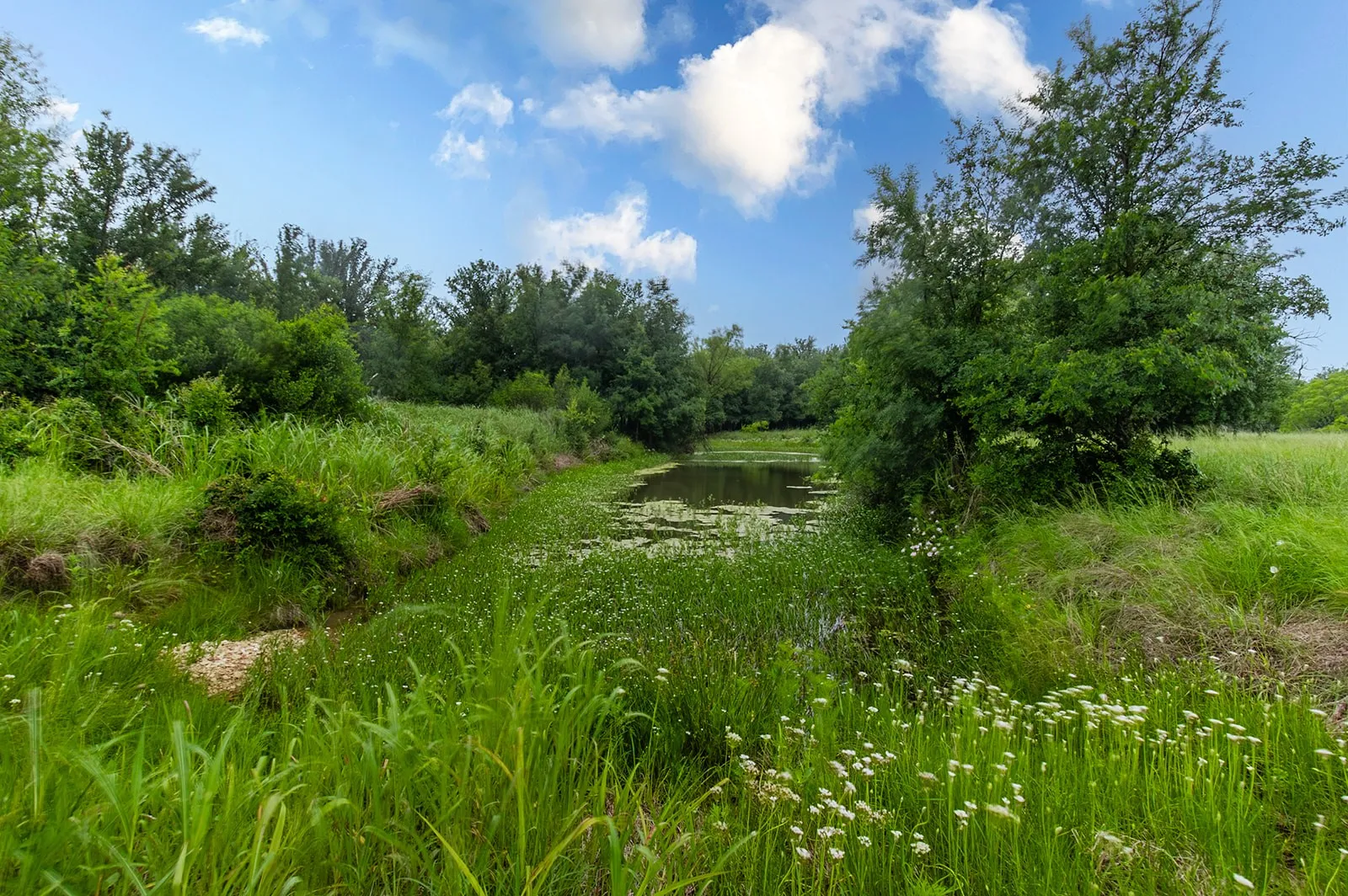 Ranch For Sale in Brown County , 9701 County Road 201, Brownwood, Texas 76801, 0, 0, Garage spaces, 0 Sqft, built in 0, mls#21306365, Real Estate Agent in Brownwood, Homes For Sale in Brown county, Homes For Sale in Brownwood, Realtor in Brownwood Texas, Real Estate Brokerage Independent Realty Texas, Luminita Cordes Realtor