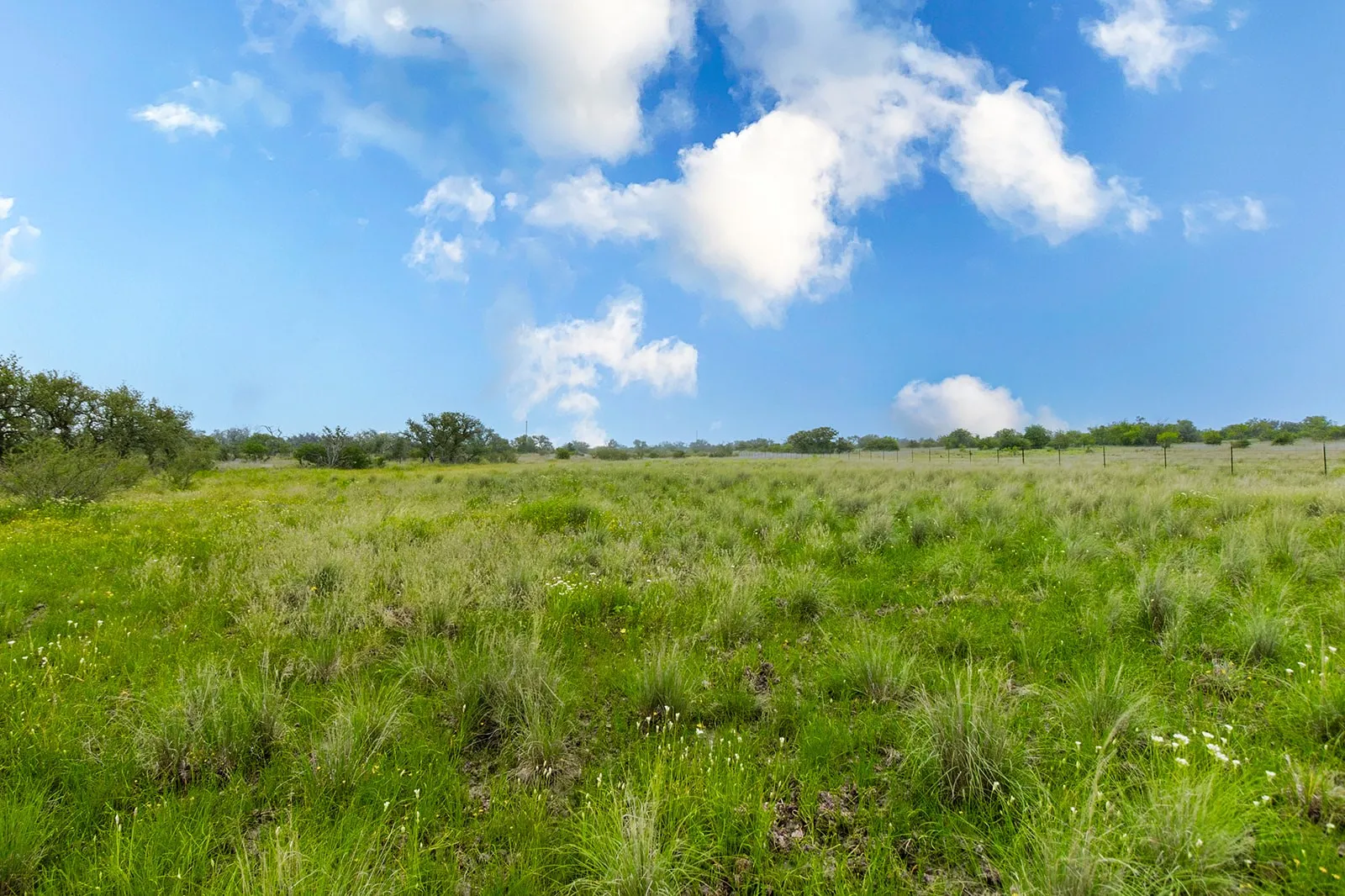 Ranch For Sale in Brown County , 9701 County Road 201, Brownwood, Texas 76801, 0, 0, Garage spaces, 0 Sqft, built in 0, mls#21306365, Real Estate Agent in Brownwood, Homes For Sale in Brown county, Homes For Sale in Brownwood, Realtor in Brownwood Texas, Real Estate Brokerage Independent Realty Texas, Luminita Cordes Realtor