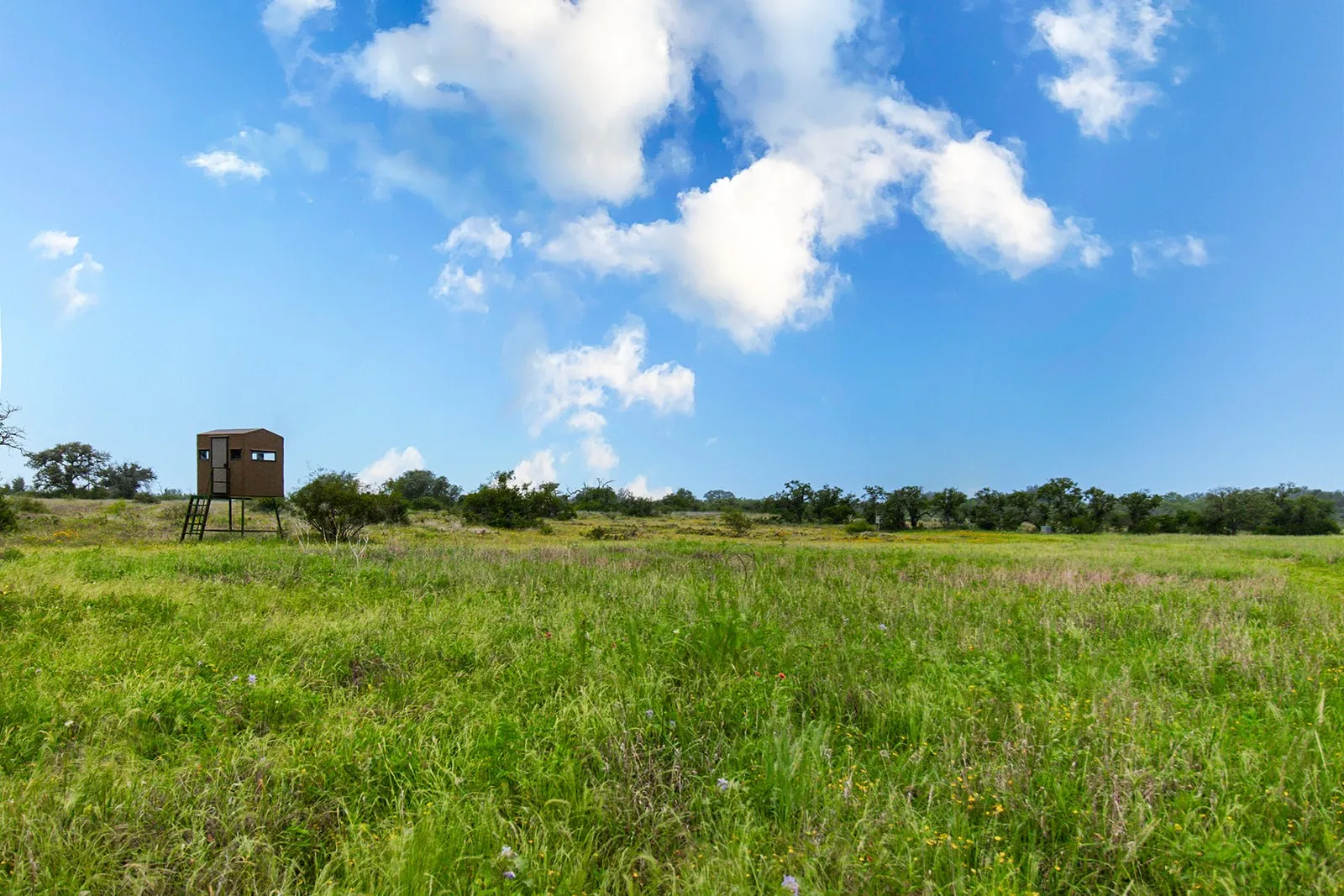 Ranch For Sale in Brown County , 9701 County Road 201, Brownwood, Texas 76801, 0, 0, Garage spaces, 0 Sqft, built in 0, mls#21306365, Real Estate Agent in Brownwood, Homes For Sale in Brown county, Homes For Sale in Brownwood, Realtor in Brownwood Texas, Real Estate Brokerage Independent Realty Texas, Luminita Cordes Realtor