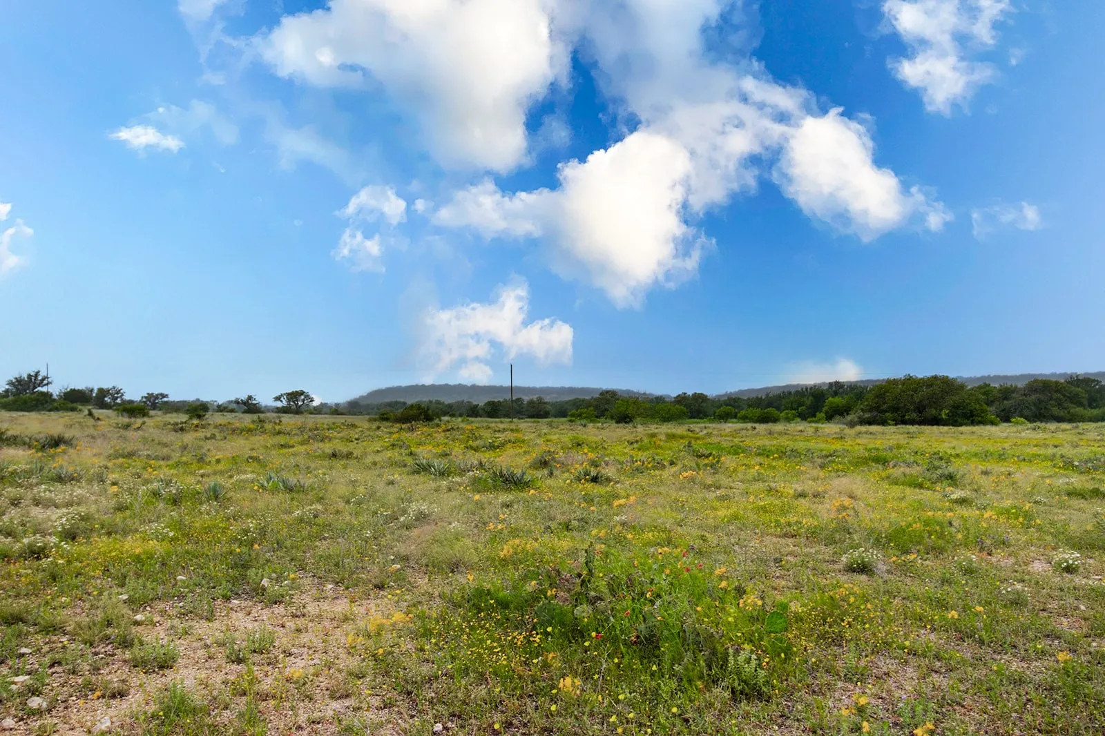 Ranch For Sale in Brown County , 9701 County Road 201, Brownwood, Texas 76801, 0, 0, Garage spaces, 0 Sqft, built in 0, mls#21306365, Real Estate Agent in Brownwood, Homes For Sale in Brown county, Homes For Sale in Brownwood, Realtor in Brownwood Texas, Real Estate Brokerage Independent Realty Texas, Luminita Cordes Realtor