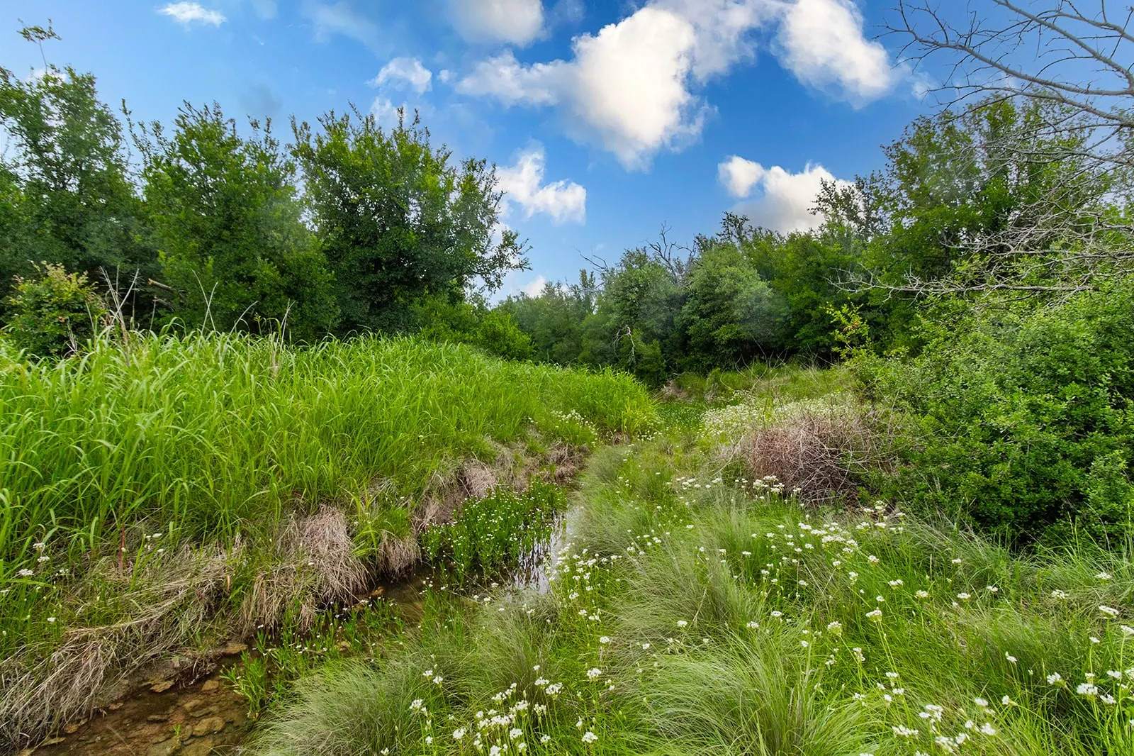 Ranch For Sale in Brown County , 9701 County Road 201, Brownwood, Texas 76801, 0, 0, Garage spaces, 0 Sqft, built in 0, mls#21306365, Real Estate Agent in Brownwood, Homes For Sale in Brown county, Homes For Sale in Brownwood, Realtor in Brownwood Texas, Real Estate Brokerage Independent Realty Texas, Luminita Cordes Realtor