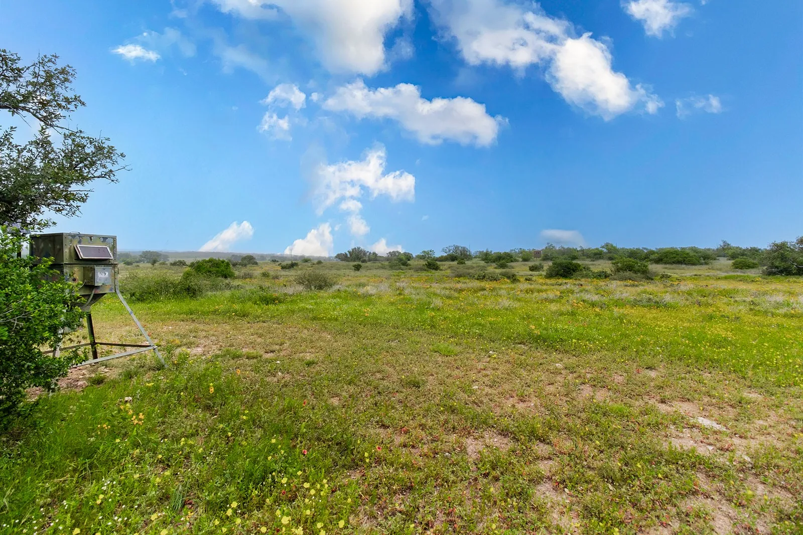 Ranch For Sale in Brown County , 9701 County Road 201, Brownwood, Texas 76801, 0, 0, Garage spaces, 0 Sqft, built in 0, mls#21306365, Real Estate Agent in Brownwood, Homes For Sale in Brown county, Homes For Sale in Brownwood, Realtor in Brownwood Texas, Real Estate Brokerage Independent Realty Texas, Luminita Cordes Realtor