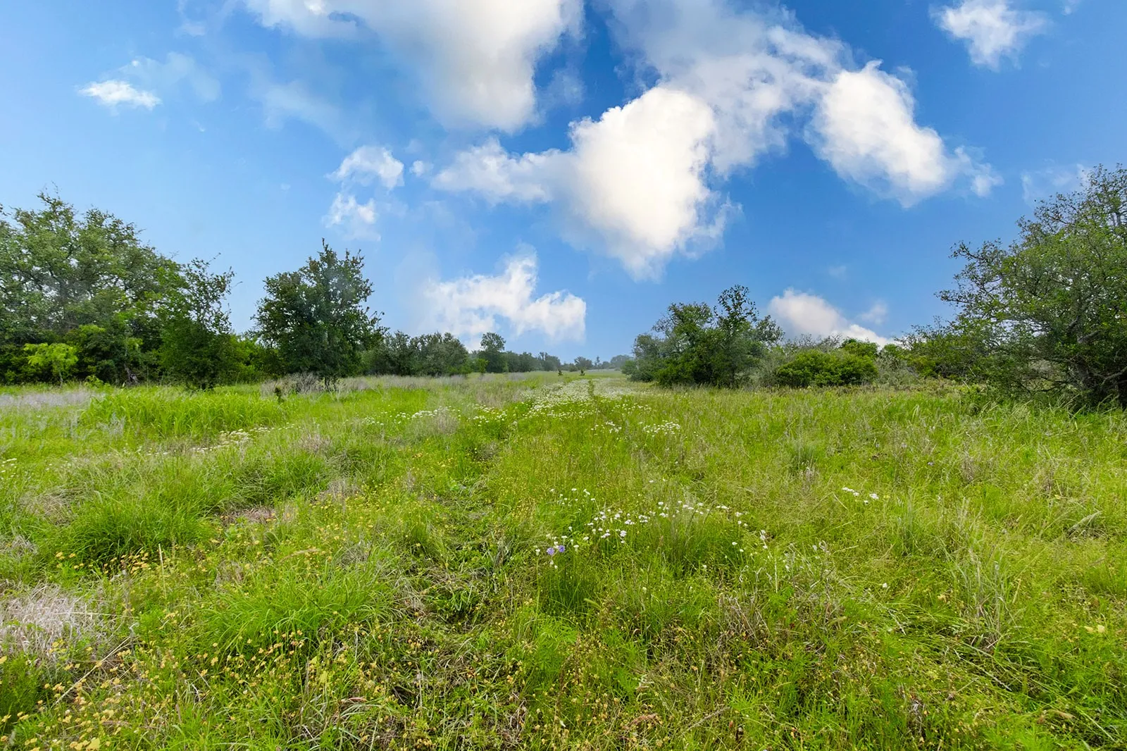 Ranch For Sale in Brown County , 9701 County Road 201, Brownwood, Texas 76801, 0, 0, Garage spaces, 0 Sqft, built in 0, mls#21306365, Real Estate Agent in Brownwood, Homes For Sale in Brown county, Homes For Sale in Brownwood, Realtor in Brownwood Texas, Real Estate Brokerage Independent Realty Texas, Luminita Cordes Realtor