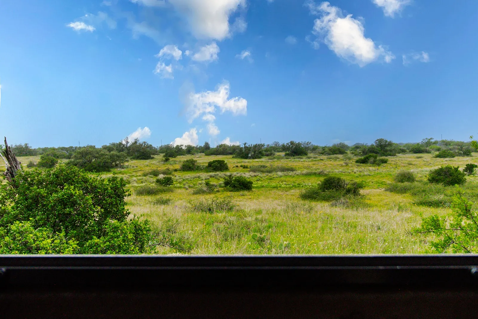 Ranch For Sale in Brown County , 9701 County Road 201, Brownwood, Texas 76801, 0, 0, Garage spaces, 0 Sqft, built in 0, mls#21306365, Real Estate Agent in Brownwood, Homes For Sale in Brown county, Homes For Sale in Brownwood, Realtor in Brownwood Texas, Real Estate Brokerage Independent Realty Texas, Luminita Cordes Realtor