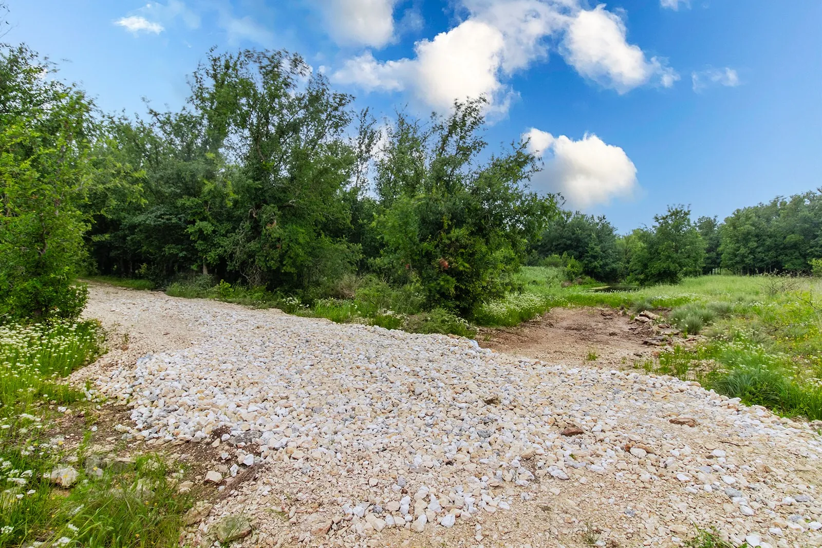 Ranch For Sale in Brown County , 9701 County Road 201, Brownwood, Texas 76801, 0, 0, Garage spaces, 0 Sqft, built in 0, mls#21306365, Real Estate Agent in Brownwood, Homes For Sale in Brown county, Homes For Sale in Brownwood, Realtor in Brownwood Texas, Real Estate Brokerage Independent Realty Texas, Luminita Cordes Realtor