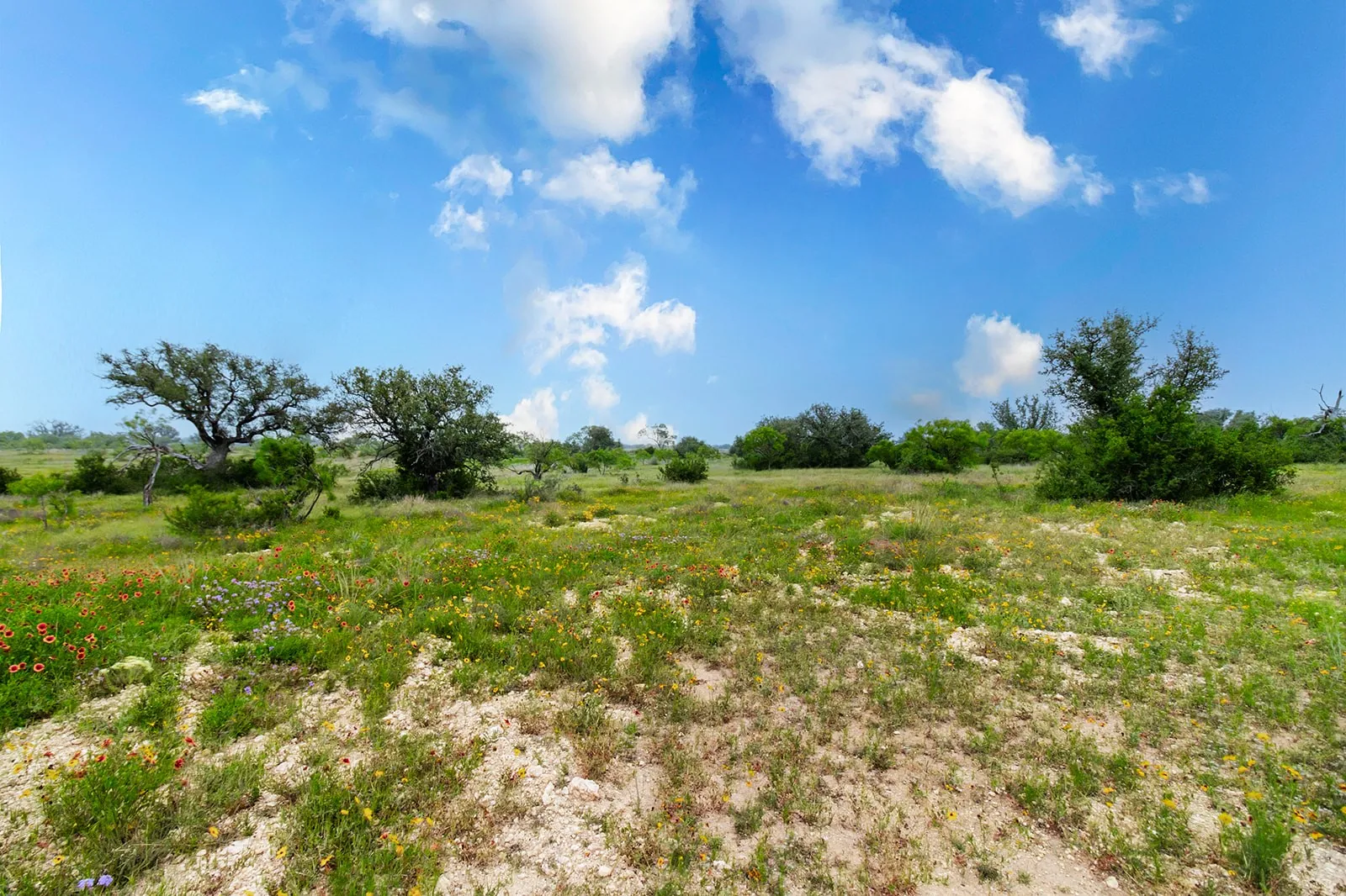 Ranch For Sale in Brown County , 9701 County Road 201, Brownwood, Texas 76801, 0, 0, Garage spaces, 0 Sqft, built in 0, mls#21306365, Real Estate Agent in Brownwood, Homes For Sale in Brown county, Homes For Sale in Brownwood, Realtor in Brownwood Texas, Real Estate Brokerage Independent Realty Texas, Luminita Cordes Realtor