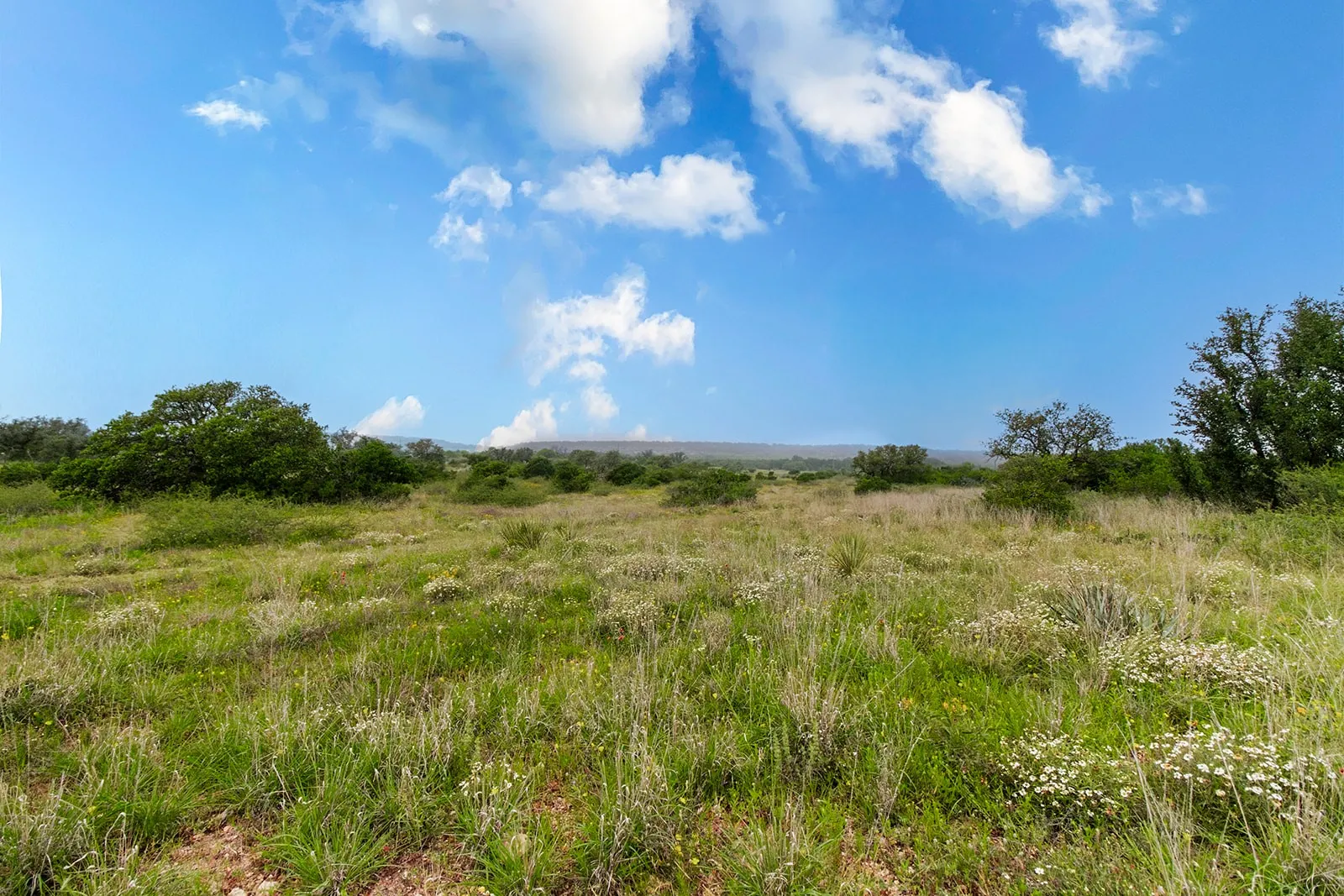 Ranch For Sale in Brown County , 9701 County Road 201, Brownwood, Texas 76801, 0, 0, Garage spaces, 0 Sqft, built in 0, mls#21306365, Real Estate Agent in Brownwood, Homes For Sale in Brown county, Homes For Sale in Brownwood, Realtor in Brownwood Texas, Real Estate Brokerage Independent Realty Texas, Luminita Cordes Realtor