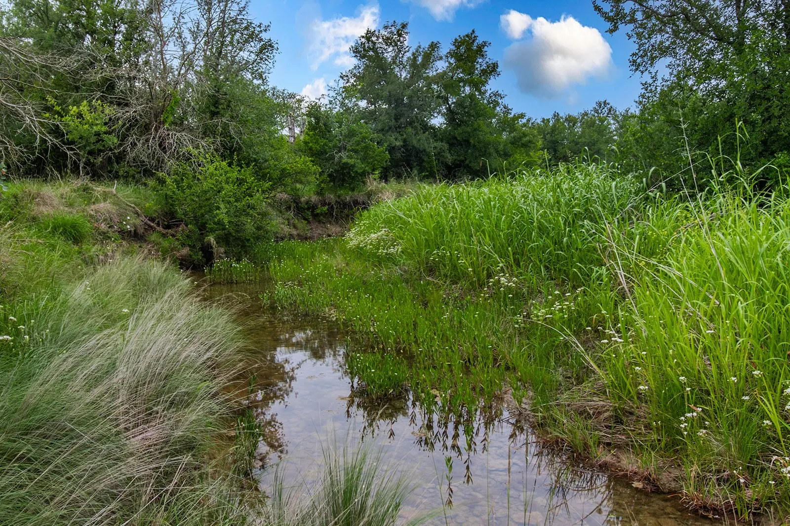 Ranch For Sale in Brown County , 9701 County Road 201, Brownwood, Texas 76801, 0, 0, Garage spaces, 0 Sqft, built in 0, mls#21306365, Real Estate Agent in Brownwood, Homes For Sale in Brown county, Homes For Sale in Brownwood, Realtor in Brownwood Texas, Real Estate Brokerage Independent Realty Texas, Luminita Cordes Realtor