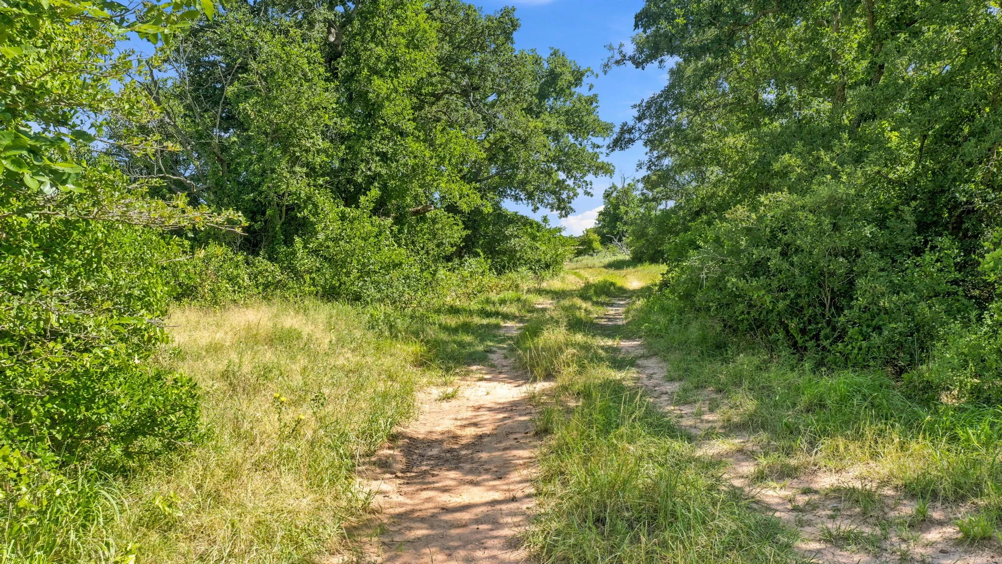 Ranch For Sale in Eastland County , TBD CO RD 290, Rising Star, Texas 76471, 0, 0, Garage spaces, 0 Sqft, built in 0, mls#21306101, Real Estate Agent in Rising Star, Homes For Sale in Eastland county, Homes For Sale in Rising Star, Realtor in Rising Star Texas, Real Estate Brokerage Independent Realty Texas, Luminita Cordes Realtor