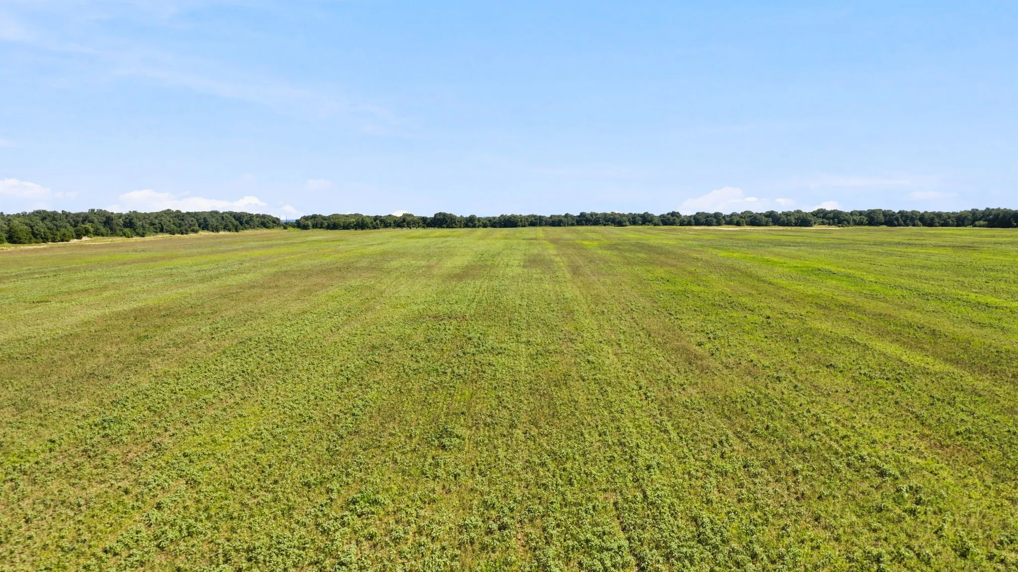 Ranch For Sale in Eastland County , TBD CO RD 290, Rising Star, Texas 76471, 0, 0, Garage spaces, 0 Sqft, built in 0, mls#21306101, Real Estate Agent in Rising Star, Homes For Sale in Eastland county, Homes For Sale in Rising Star, Realtor in Rising Star Texas, Real Estate Brokerage Independent Realty Texas, Luminita Cordes Realtor