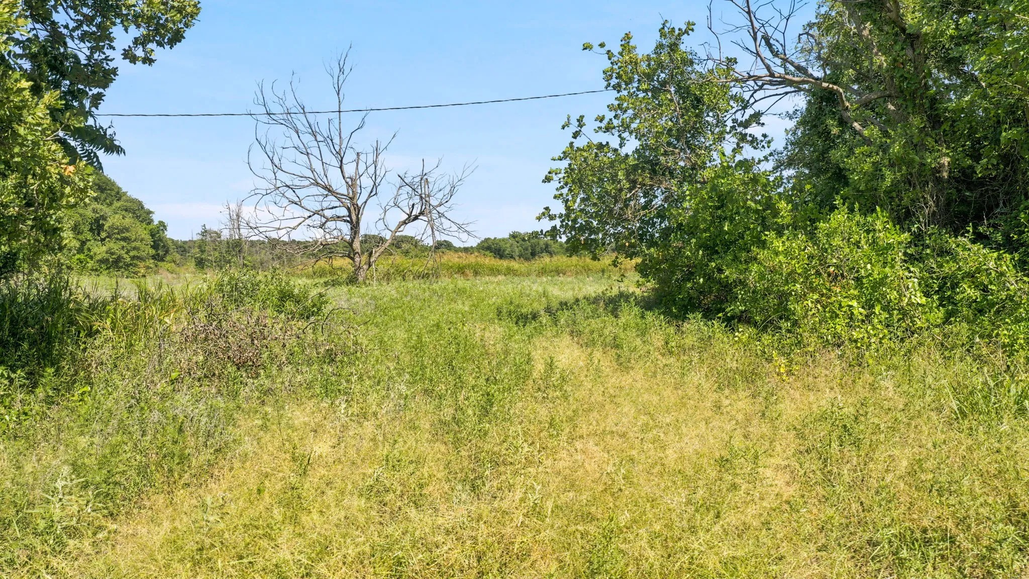 Ranch For Sale in Eastland County , TBD CO RD 290, Rising Star, Texas 76471, 0, 0, Garage spaces, 0 Sqft, built in 0, mls#21306101, Real Estate Agent in Rising Star, Homes For Sale in Eastland county, Homes For Sale in Rising Star, Realtor in Rising Star Texas, Real Estate Brokerage Independent Realty Texas, Luminita Cordes Realtor