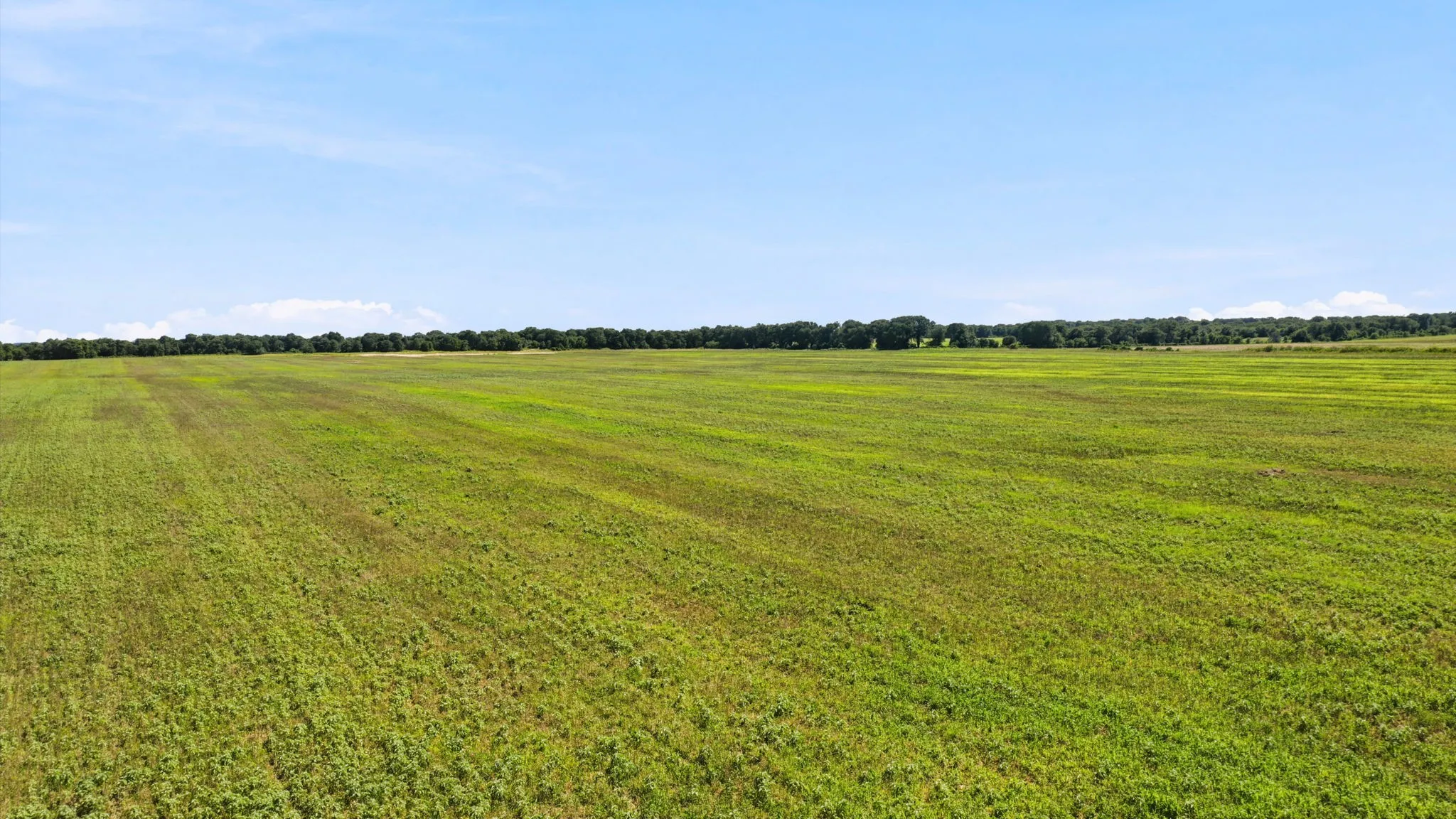 Ranch For Sale in Eastland County , TBD CO RD 290, Rising Star, Texas 76471, 0, 0, Garage spaces, 0 Sqft, built in 0, mls#21306101, Real Estate Agent in Rising Star, Homes For Sale in Eastland county, Homes For Sale in Rising Star, Realtor in Rising Star Texas, Real Estate Brokerage Independent Realty Texas, Luminita Cordes Realtor