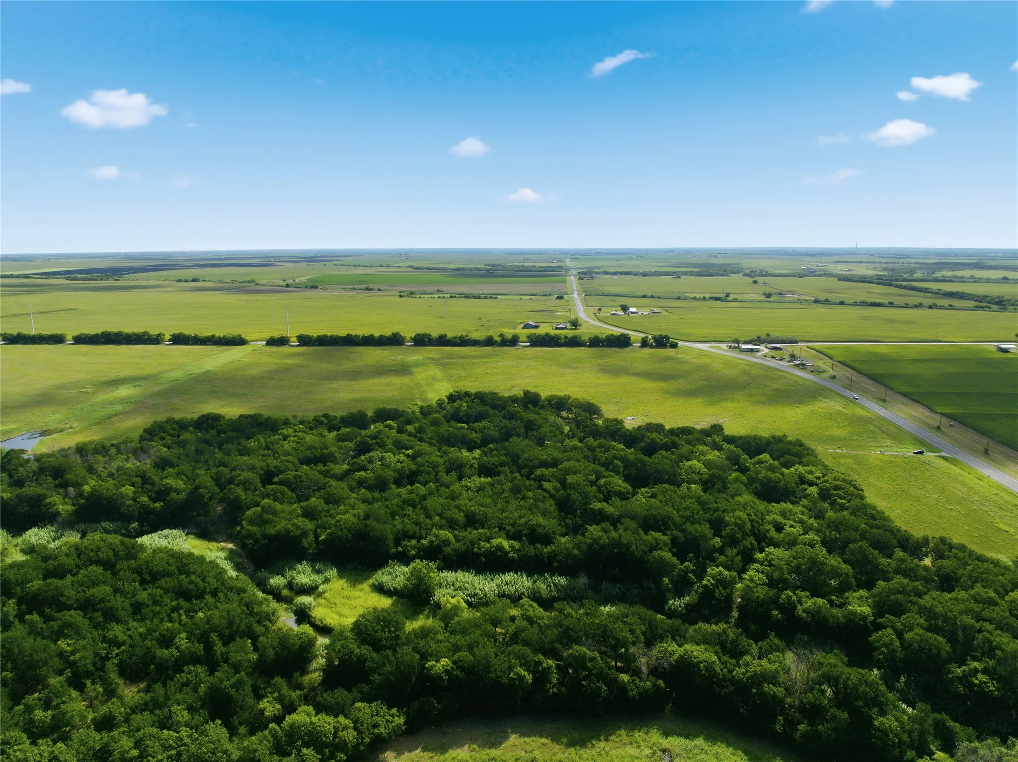 Expansive land parcel featuring a dense tree cluster, bordering open fields, and offering direct road frontage
