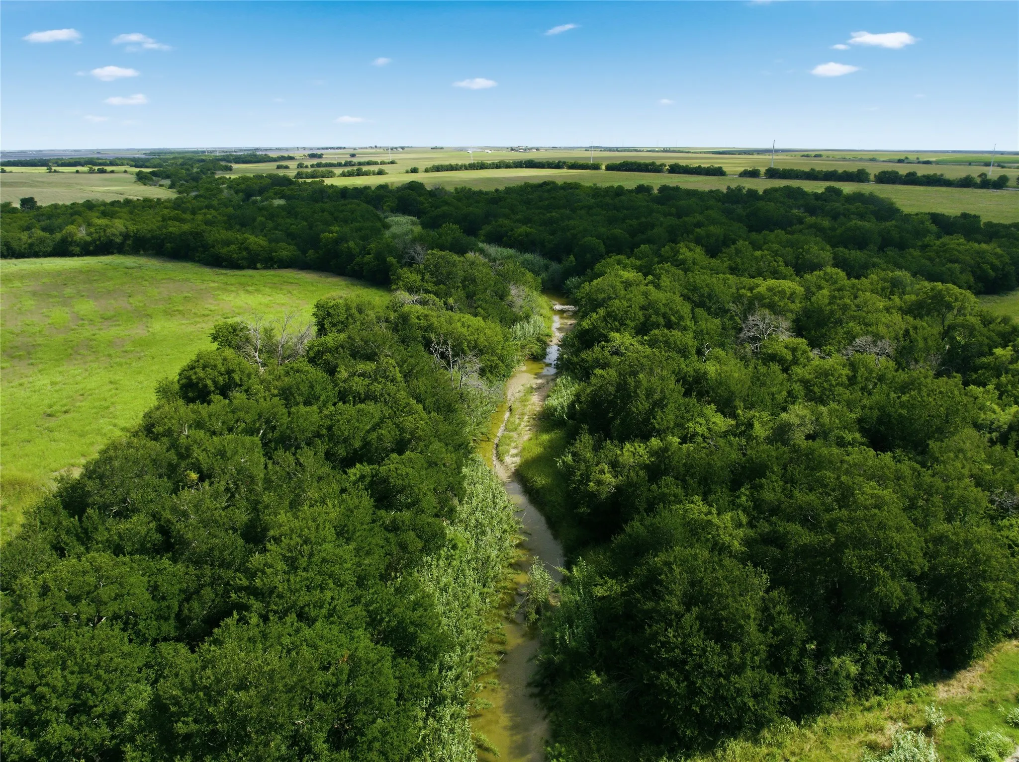 Expansive treelined acreage featuring a natural creek bed, bordered by open green fields under a clear blue sky