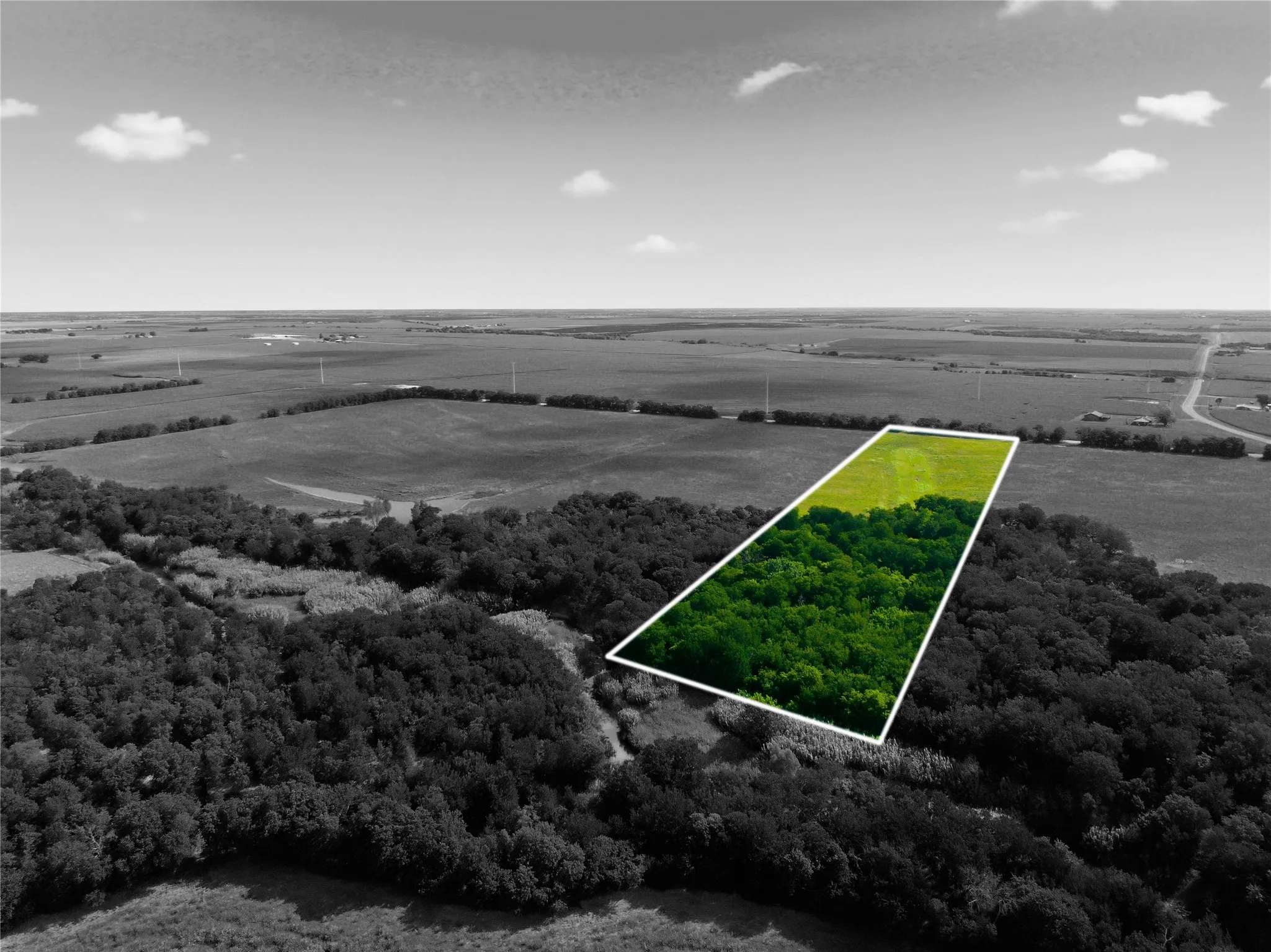 Expansive land parcel featuring a combination of dense tree cover and open fields, outlined with a boundary