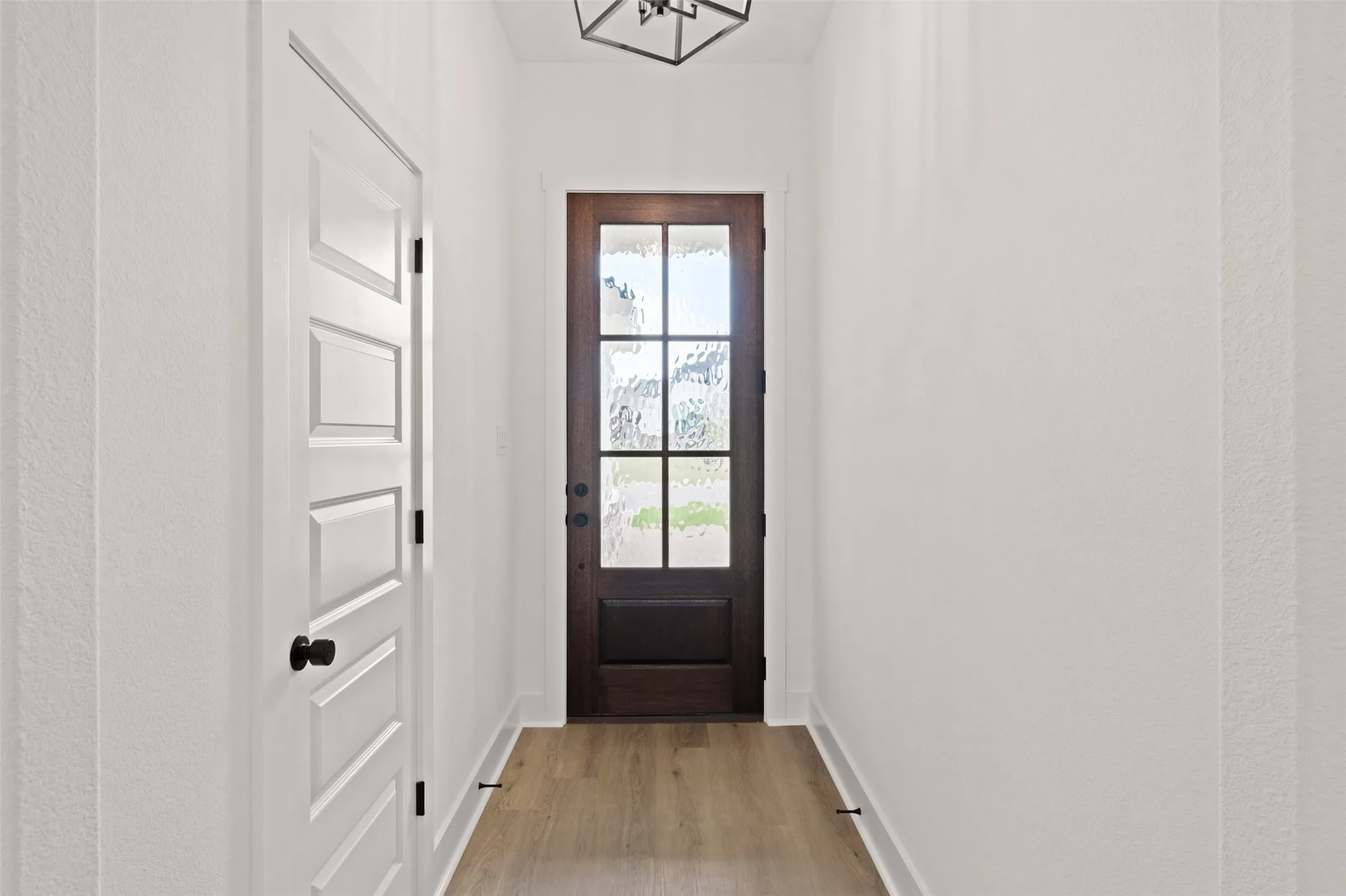 Foyer featuring a dark wood-finish entry door with multiple glass panes, light wood-finish flooring, white baseboards, and a contemporary geometric light fixture