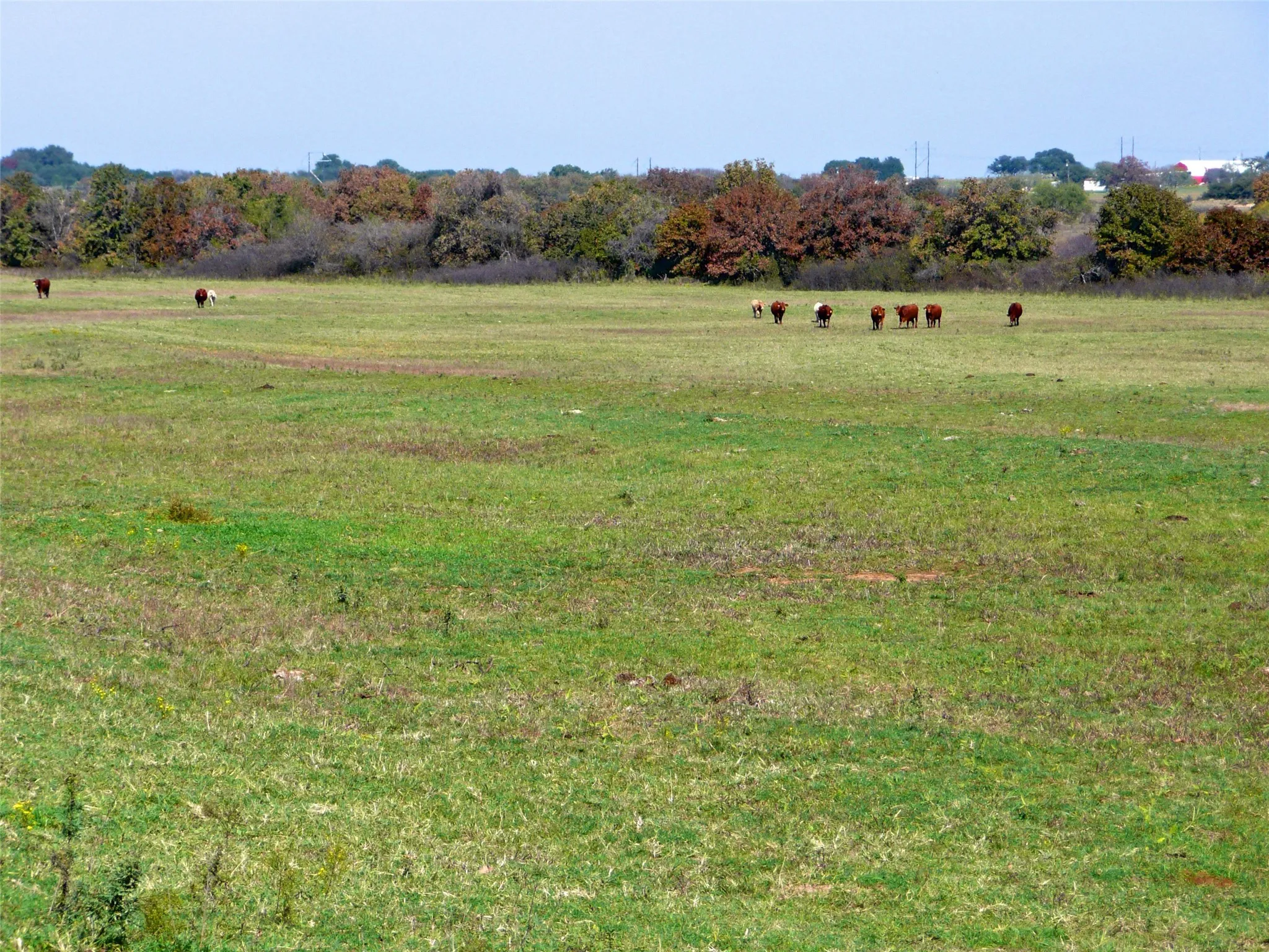 Ranch For Sale in Erath County , TBD County Road 300, Dublin, Texas 76446, 0, 0, Garage spaces, 0 Sqft, built in 0, Price $1,540,100, mls#21281705, Real Estate Agent in Dublin, Homes For Sale in Erath county, Homes For Sale in Dublin, Realtor in Dublin Texas, Real Estate Brokerage Independent Realty Texas, Luminita Cordes Realtor