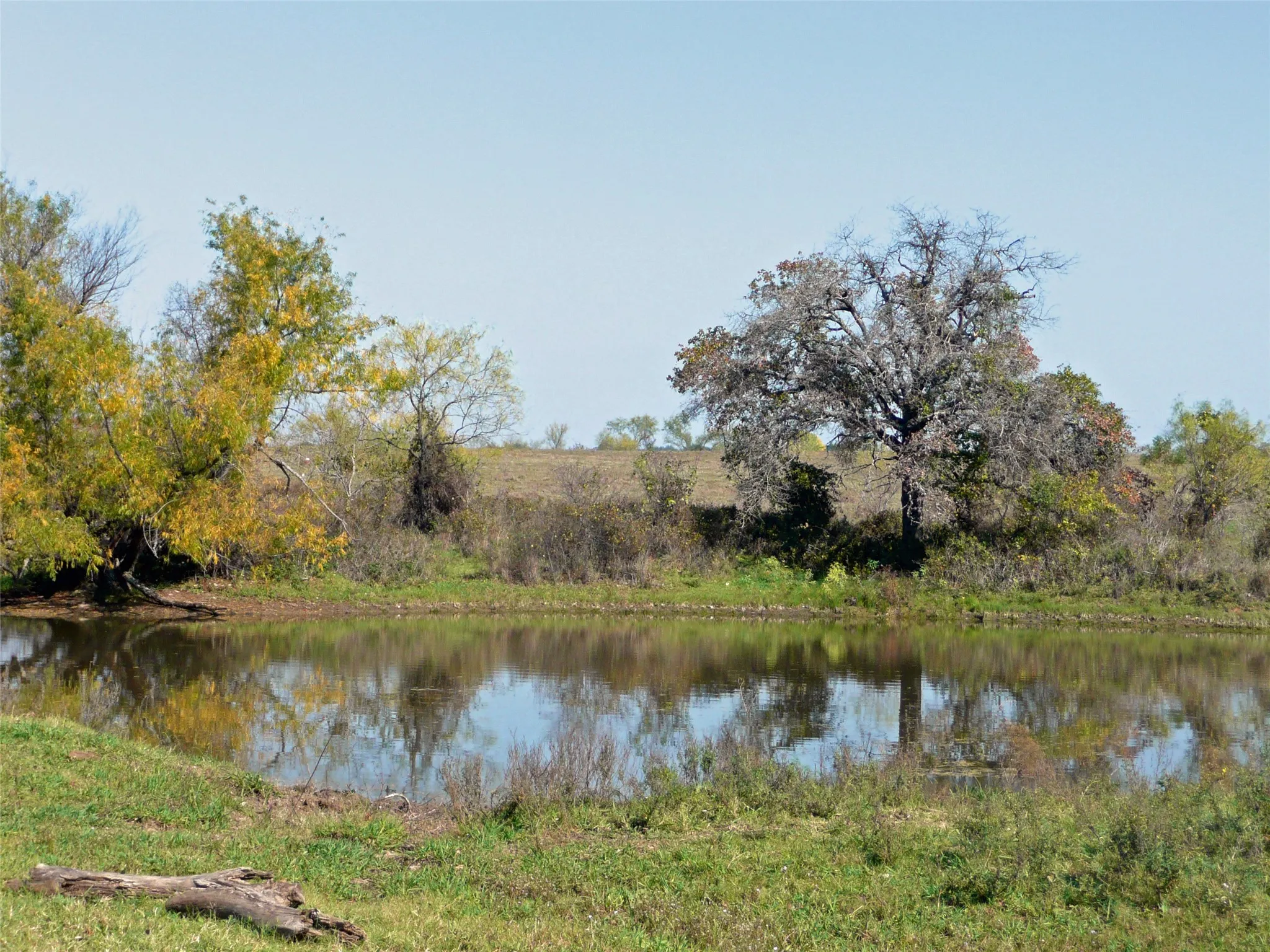 Ranch For Sale in Erath County , TBD County Road 300, Dublin, Texas 76446, 0, 0, Garage spaces, 0 Sqft, built in 0, Price $1,540,100, mls#21281705, Real Estate Agent in Dublin, Homes For Sale in Erath county, Homes For Sale in Dublin, Realtor in Dublin Texas, Real Estate Brokerage Independent Realty Texas, Luminita Cordes Realtor