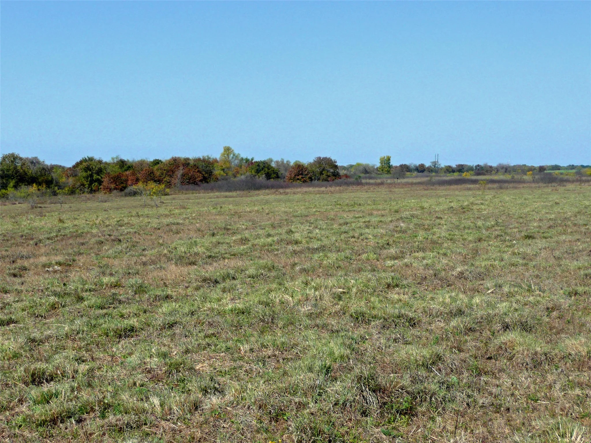 Ranch For Sale in Erath County , TBD County Road 300, Dublin, Texas 76446, 0, 0, Garage spaces, 0 Sqft, built in 0, Price $1,540,100, mls#21281705, Real Estate Agent in Dublin, Homes For Sale in Erath county, Homes For Sale in Dublin, Realtor in Dublin Texas, Real Estate Brokerage Independent Realty Texas, Luminita Cordes Realtor