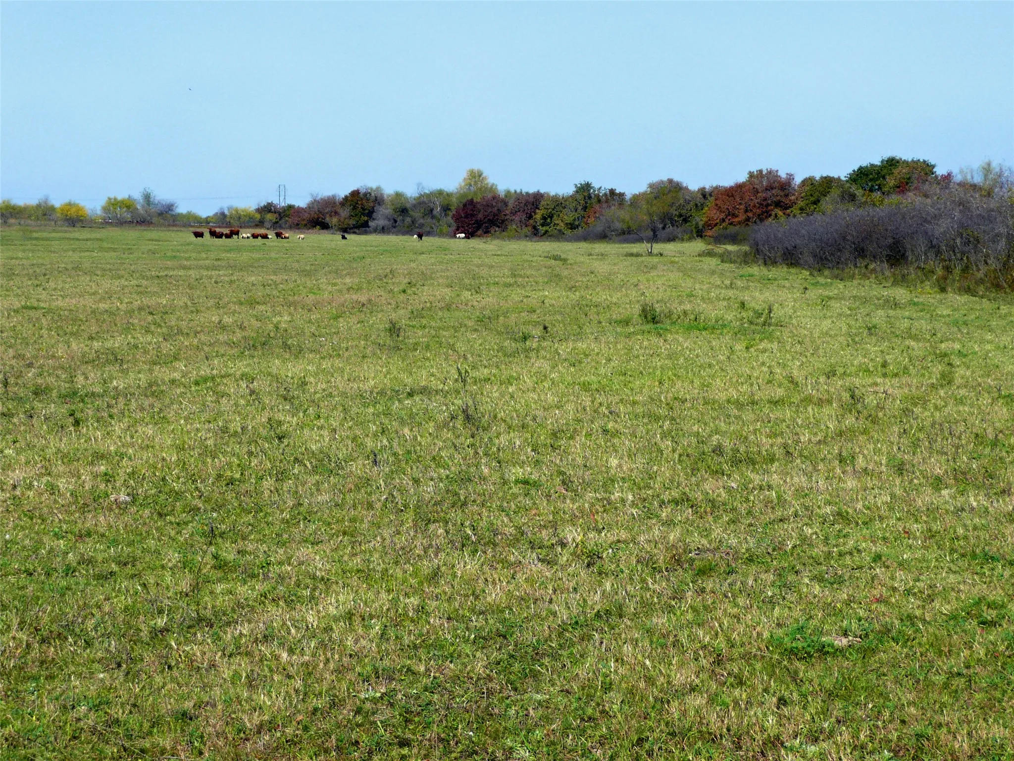Ranch For Sale in Erath County , TBD County Road 300, Dublin, Texas 76446, 0, 0, Garage spaces, 0 Sqft, built in 0, Price $1,540,100, mls#21281705, Real Estate Agent in Dublin, Homes For Sale in Erath county, Homes For Sale in Dublin, Realtor in Dublin Texas, Real Estate Brokerage Independent Realty Texas, Luminita Cordes Realtor