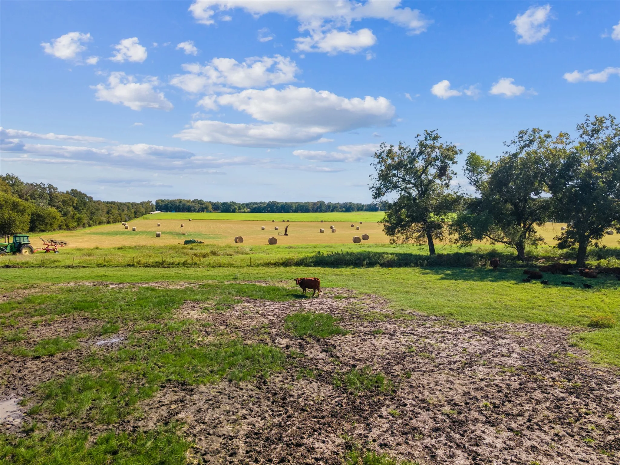 Ranch For Sale in Bosque County , 324 E Highway 6, Iredell, Texas 76649, 0, 0, Garage spaces, 0 Sqft, built in 0, Price $2,119,000, mls#21306430, Real Estate Agent in Iredell, Homes For Sale in Bosque county, Homes For Sale in Iredell, Realtor in Iredell Texas, Real Estate Brokerage Independent Realty Texas, Luminita Cordes Realtor
