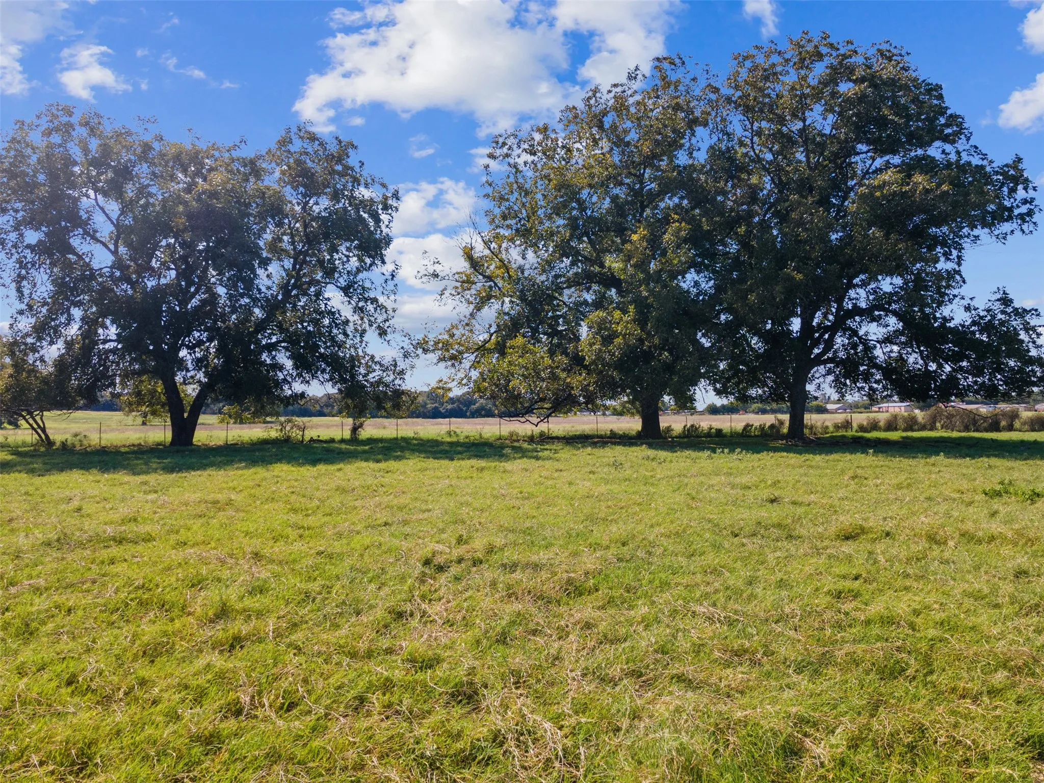 Ranch For Sale in Bosque County , 324 E Highway 6, Iredell, Texas 76649, 0, 0, Garage spaces, 0 Sqft, built in 0, Price $2,119,000, mls#21306430, Real Estate Agent in Iredell, Homes For Sale in Bosque county, Homes For Sale in Iredell, Realtor in Iredell Texas, Real Estate Brokerage Independent Realty Texas, Luminita Cordes Realtor