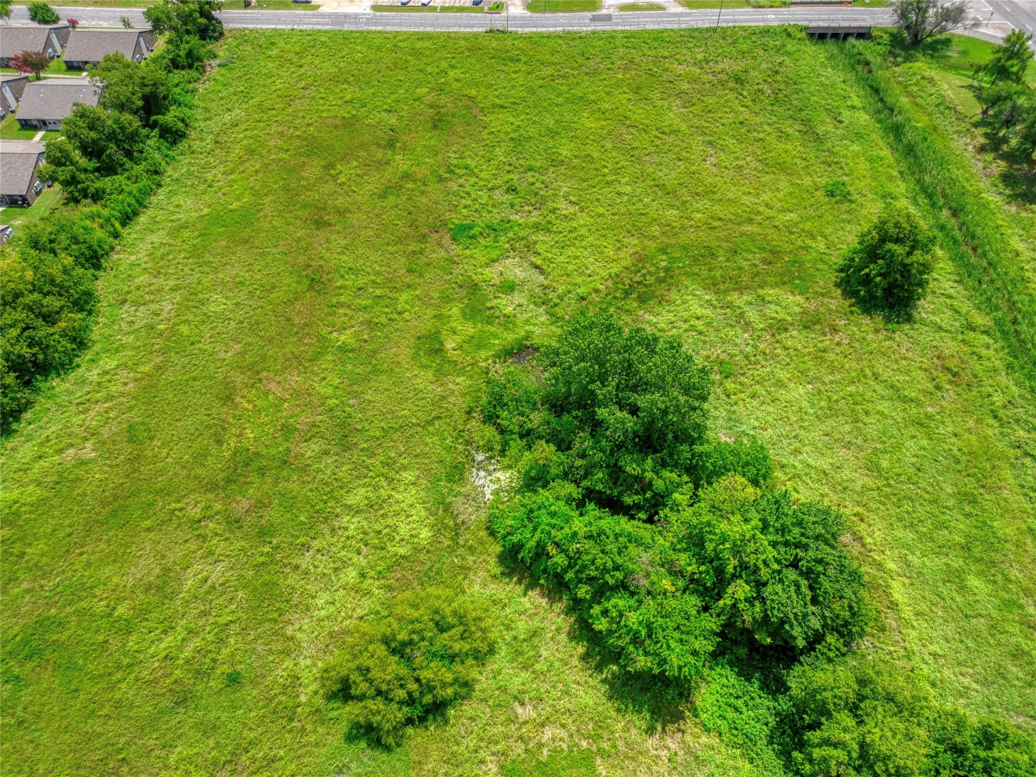 Expansive green acreage featuring mature trees and a prominent roadside frontage