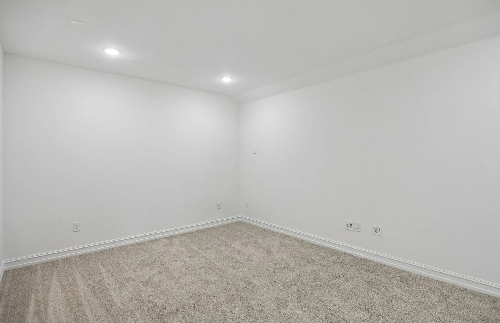Spacious media room