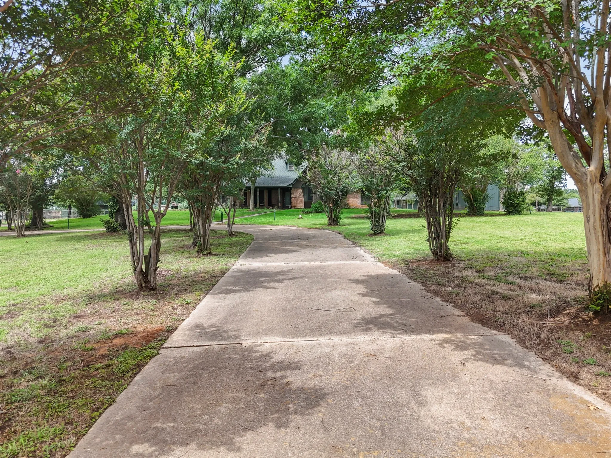 Concrete driveway bordered by mature trees and manicured lawn from 2nd Entry.  Featuring Iron Gate From East Renfro heading to front of home.