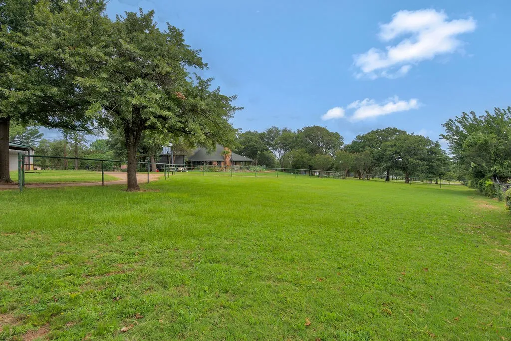 Expansive grassy pasture framed by mature trees and a metal fence