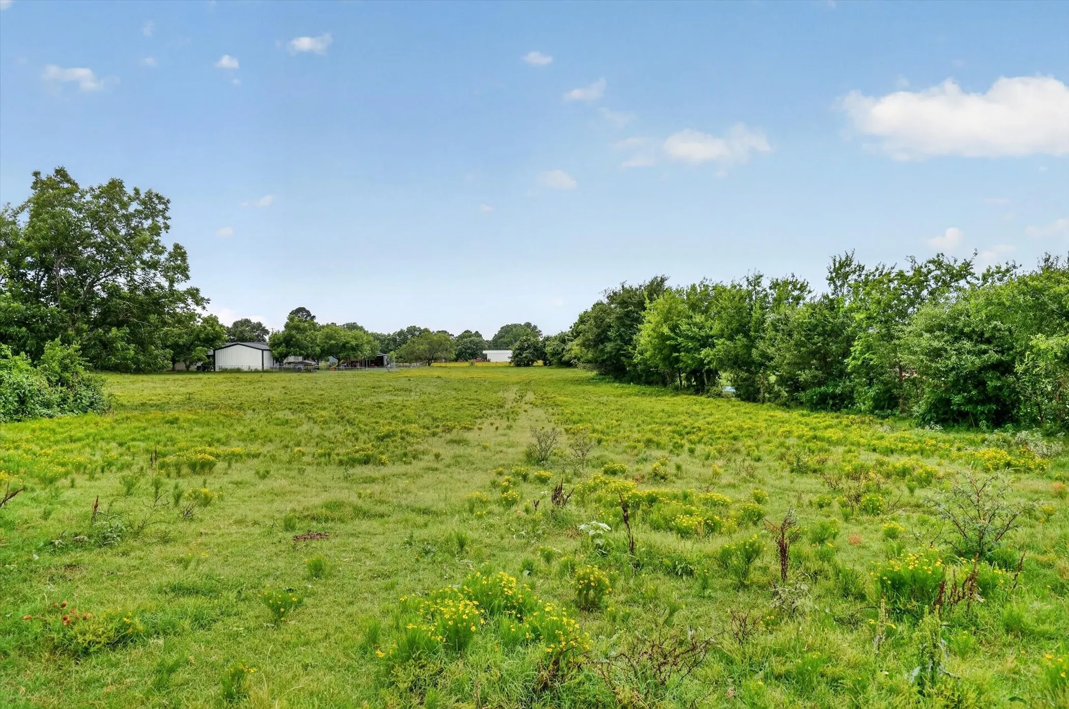 Improved Land For Sale in Johnson County , 2919 County Road 531, Burleson, Texas 76028, 0, 0, Garage spaces, 0 Sqft, built in 0, Price $1,700,000, mls#21304664, Real Estate Agent in Burleson, Homes For Sale in Johnson county, Homes For Sale in Burleson, Realtor in Burleson Texas, Real Estate Brokerage Independent Realty Texas, Luminita Cordes Realtor