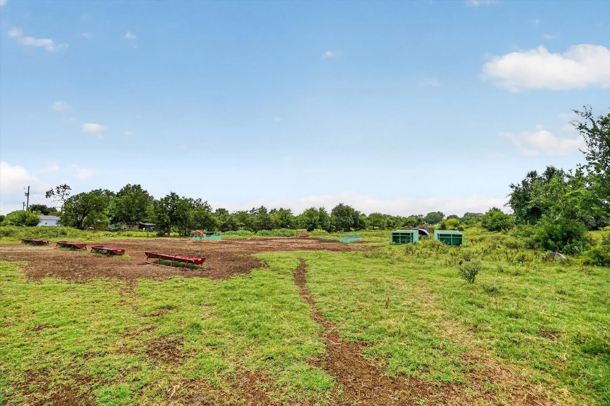 Expansive green space featuring varied ground cover and mature trees along the perimeter