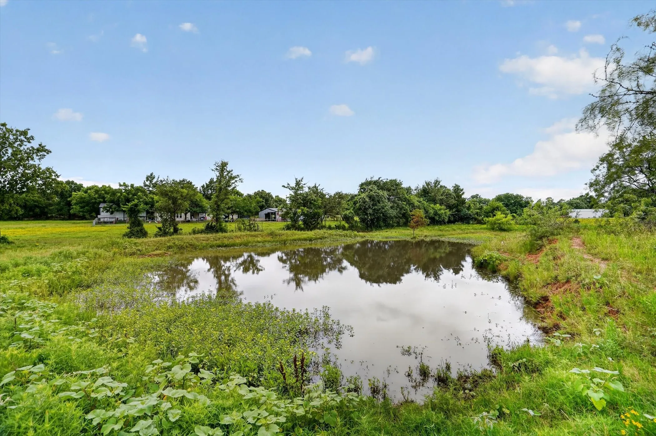 Improved Land For Sale in Johnson County , 2919 County Road 531, Burleson, Texas 76028, 0, 0, Garage spaces, 0 Sqft, built in 0, Price $1,700,000, mls#21304664, Real Estate Agent in Burleson, Homes For Sale in Johnson county, Homes For Sale in Burleson, Realtor in Burleson Texas, Real Estate Brokerage Independent Realty Texas, Luminita Cordes Realtor