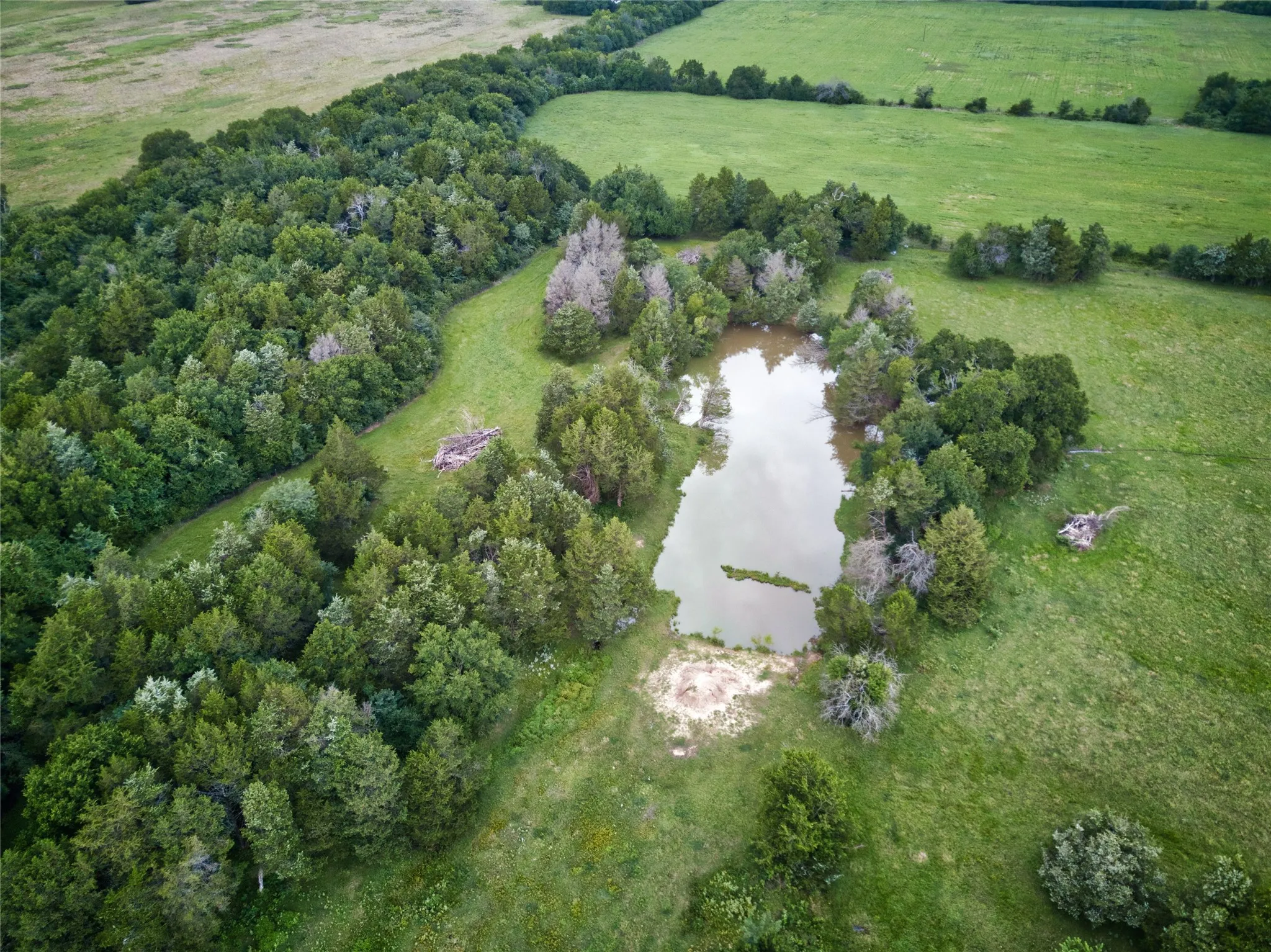 Improved Land For Sale in Fannin County , 157 ac CR 1150, Ravenna, Texas 75418, 0, 0, Garage spaces, 0 Sqft, built in 2018, Price $2,122,740, mls#21304175, Real Estate Agent in Ravenna, Homes For Sale in Fannin county, Homes For Sale in Ravenna, Realtor in Ravenna Texas, Real Estate Brokerage Independent Realty Texas, Luminita Cordes Realtor