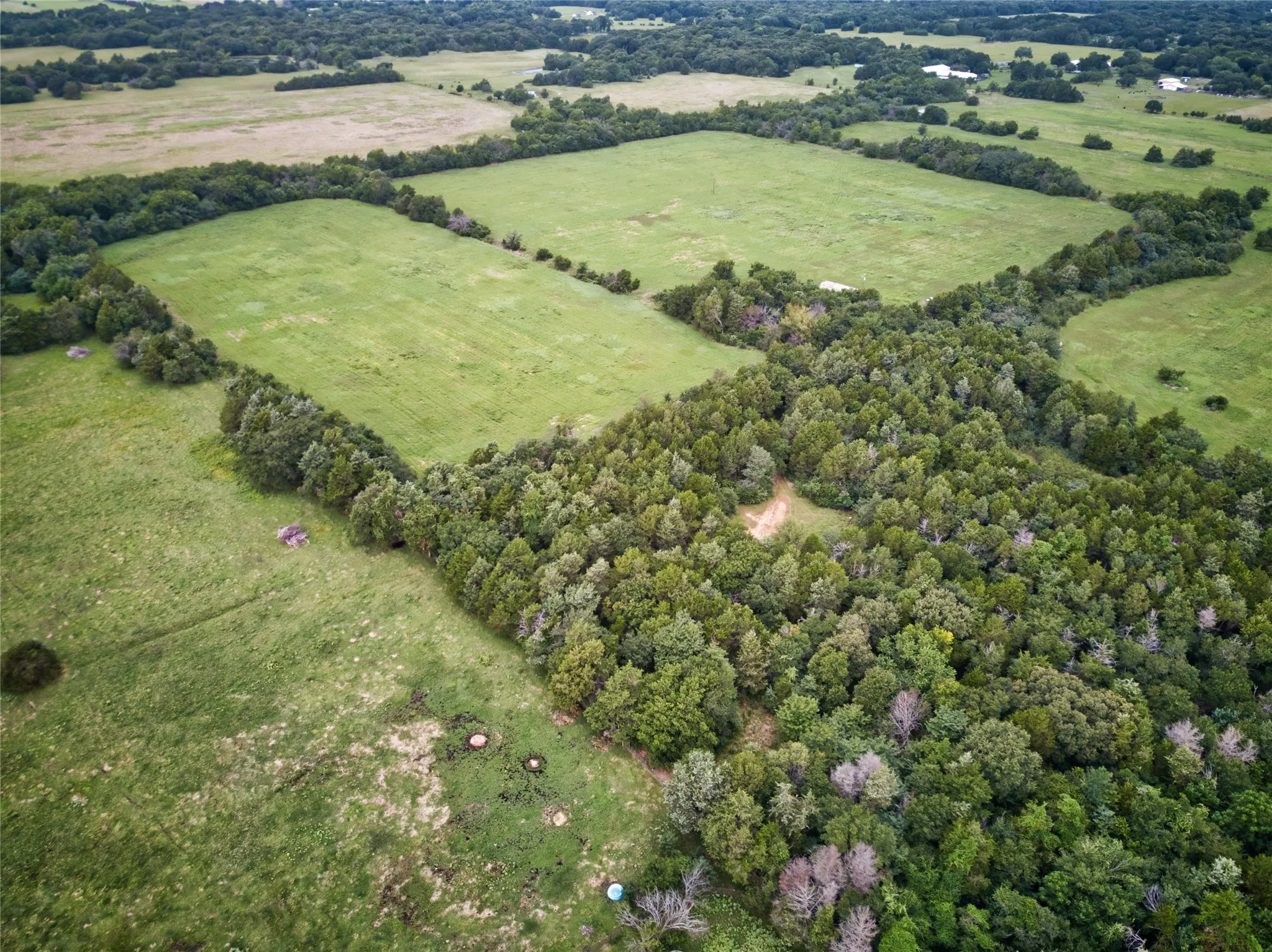 Improved Land For Sale in Fannin County , 157 ac CR 1150, Ravenna, Texas 75418, 0, 0, Garage spaces, 0 Sqft, built in 2018, Price $2,122,740, mls#21304175, Real Estate Agent in Ravenna, Homes For Sale in Fannin county, Homes For Sale in Ravenna, Realtor in Ravenna Texas, Real Estate Brokerage Independent Realty Texas, Luminita Cordes Realtor