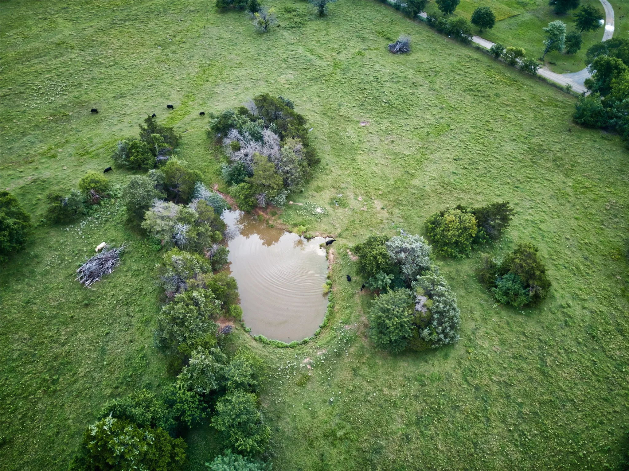 Improved Land For Sale in Fannin County , 157 ac CR 1150, Ravenna, Texas 75418, 0, 0, Garage spaces, 0 Sqft, built in 2018, Price $2,122,740, mls#21304175, Real Estate Agent in Ravenna, Homes For Sale in Fannin county, Homes For Sale in Ravenna, Realtor in Ravenna Texas, Real Estate Brokerage Independent Realty Texas, Luminita Cordes Realtor