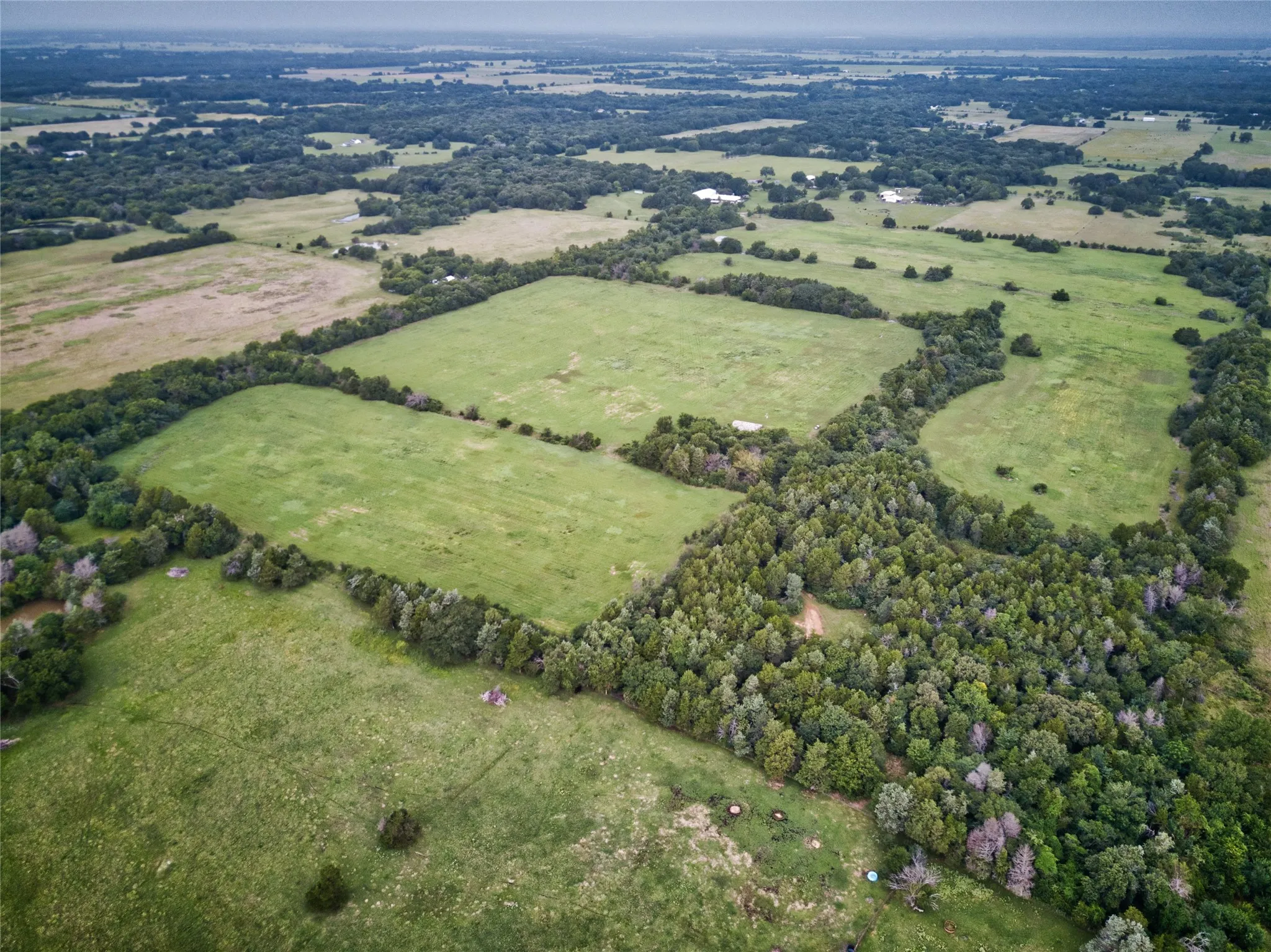 Improved Land For Sale in Fannin County , 157 ac CR 1150, Ravenna, Texas 75418, 0, 0, Garage spaces, 0 Sqft, built in 2018, Price $2,122,740, mls#21304175, Real Estate Agent in Ravenna, Homes For Sale in Fannin county, Homes For Sale in Ravenna, Realtor in Ravenna Texas, Real Estate Brokerage Independent Realty Texas, Luminita Cordes Realtor