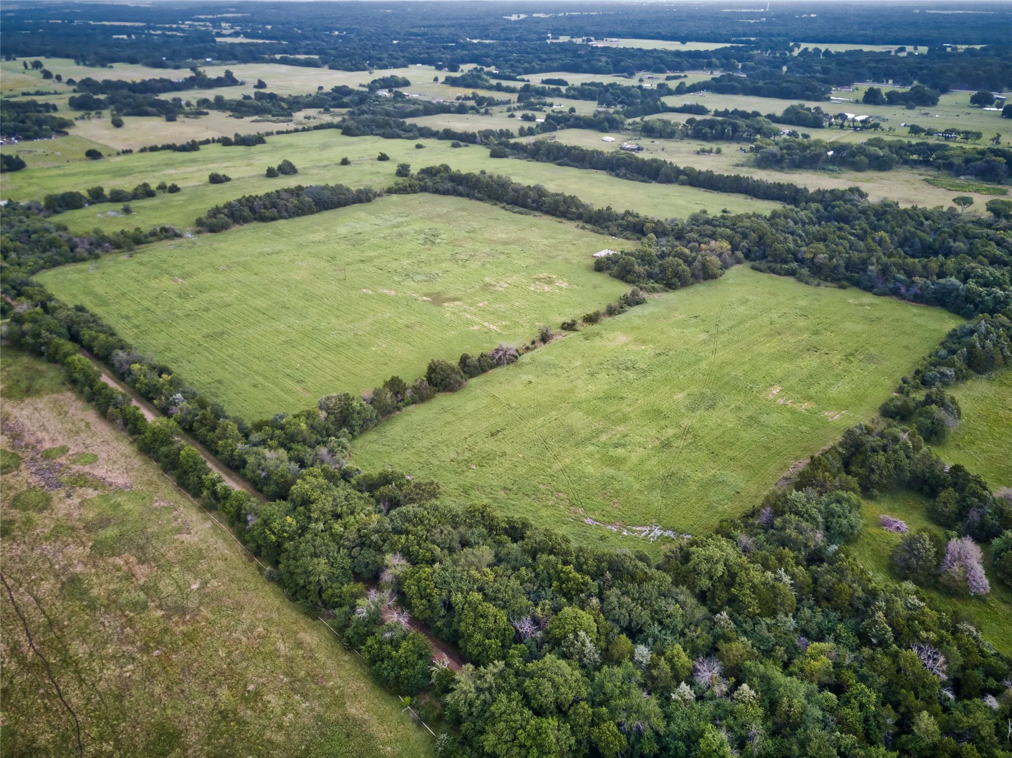 Improved Land For Sale in Fannin County , 157 ac CR 1150, Ravenna, Texas 75418, 0, 0, Garage spaces, 0 Sqft, built in 2018, Price $2,122,740, mls#21304175, Real Estate Agent in Ravenna, Homes For Sale in Fannin county, Homes For Sale in Ravenna, Realtor in Ravenna Texas, Real Estate Brokerage Independent Realty Texas, Luminita Cordes Realtor