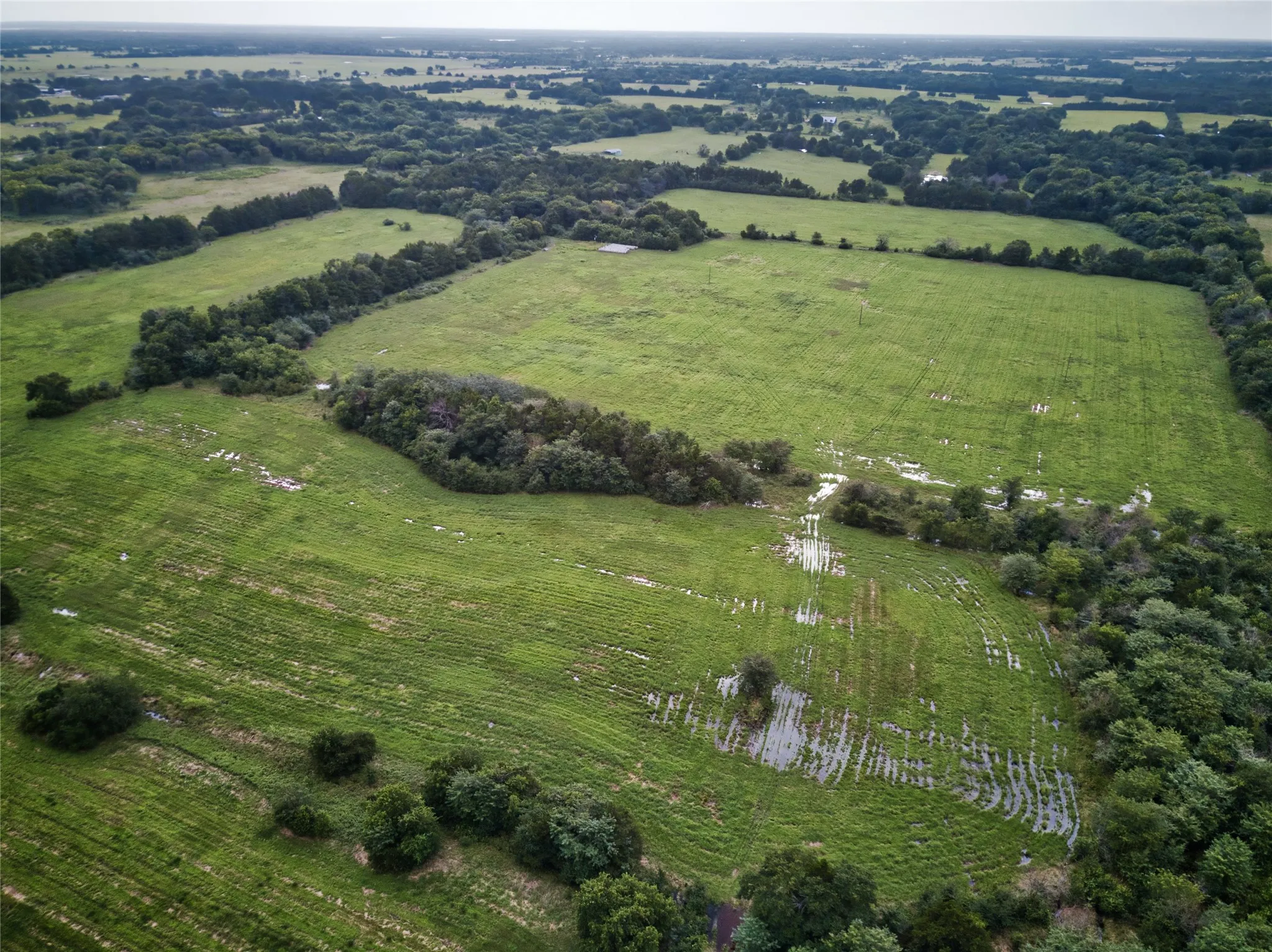 Improved Land For Sale in Fannin County , 157 ac CR 1150, Ravenna, Texas 75418, 0, 0, Garage spaces, 0 Sqft, built in 2018, Price $2,122,740, mls#21304175, Real Estate Agent in Ravenna, Homes For Sale in Fannin county, Homes For Sale in Ravenna, Realtor in Ravenna Texas, Real Estate Brokerage Independent Realty Texas, Luminita Cordes Realtor